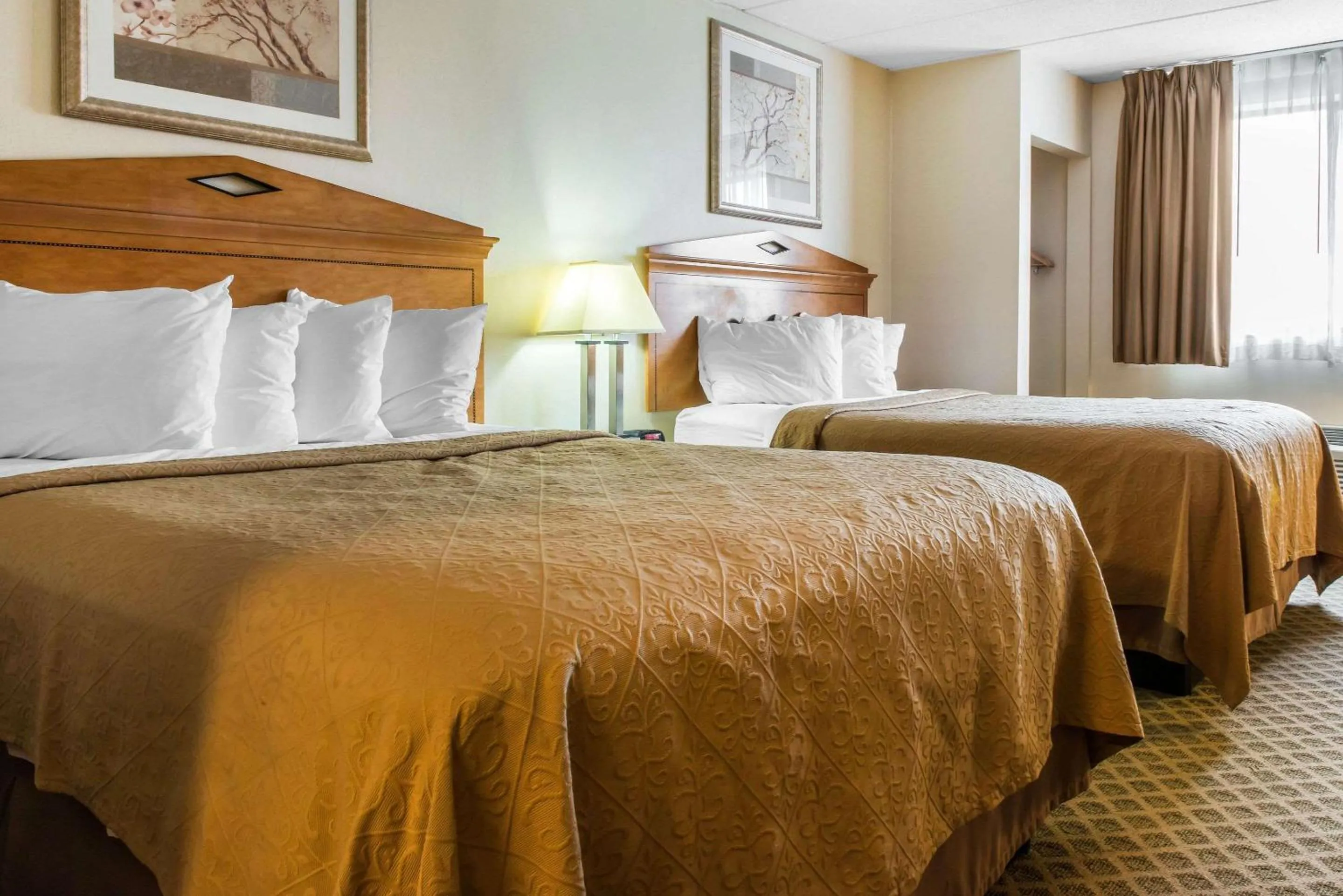 Photo of the whole room, Bed in Quality Inn & Suites Fairview - Erie