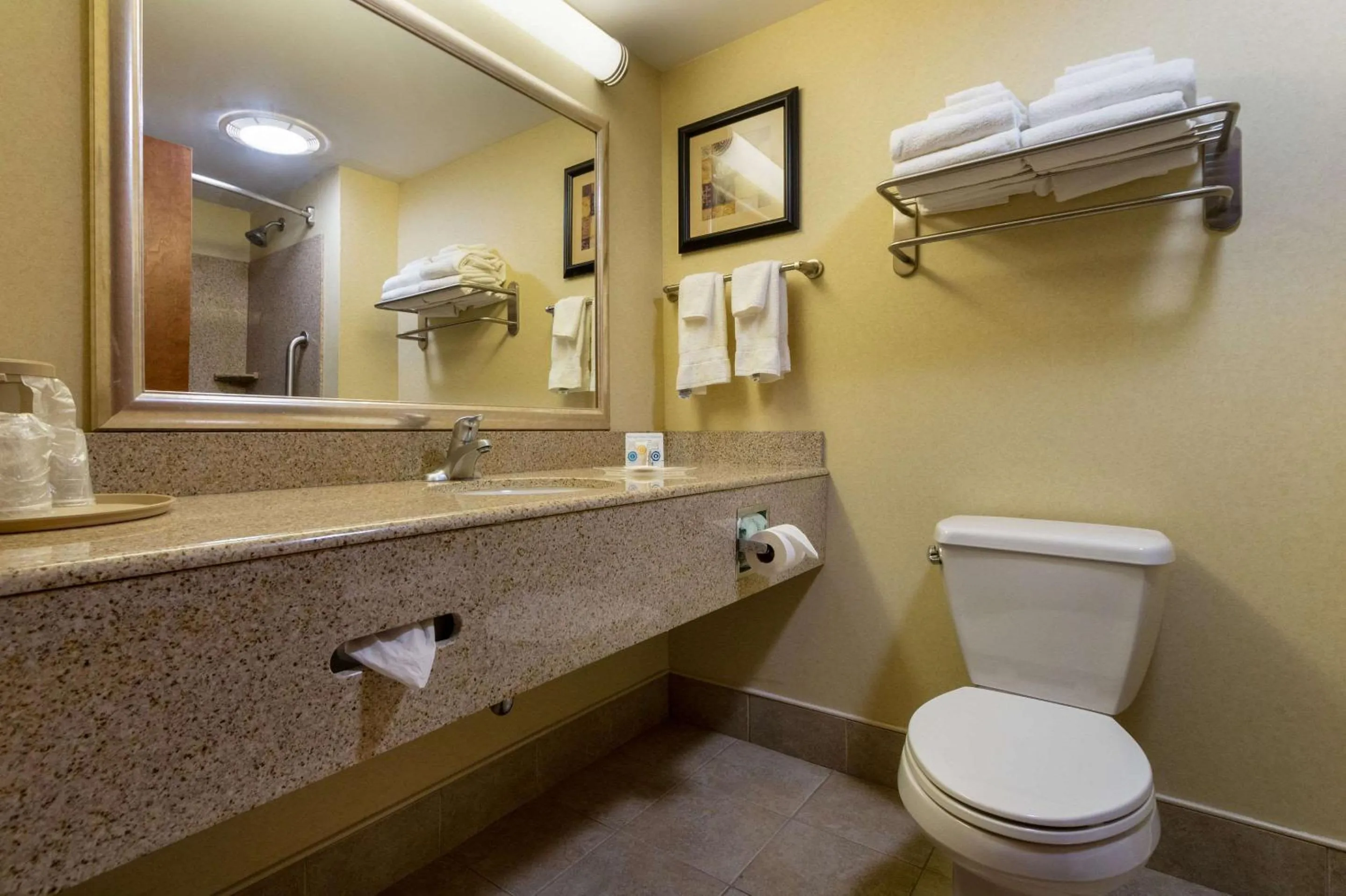 Bathroom in Comfort Suites Near Gettysburg Battlefield Visitor Center