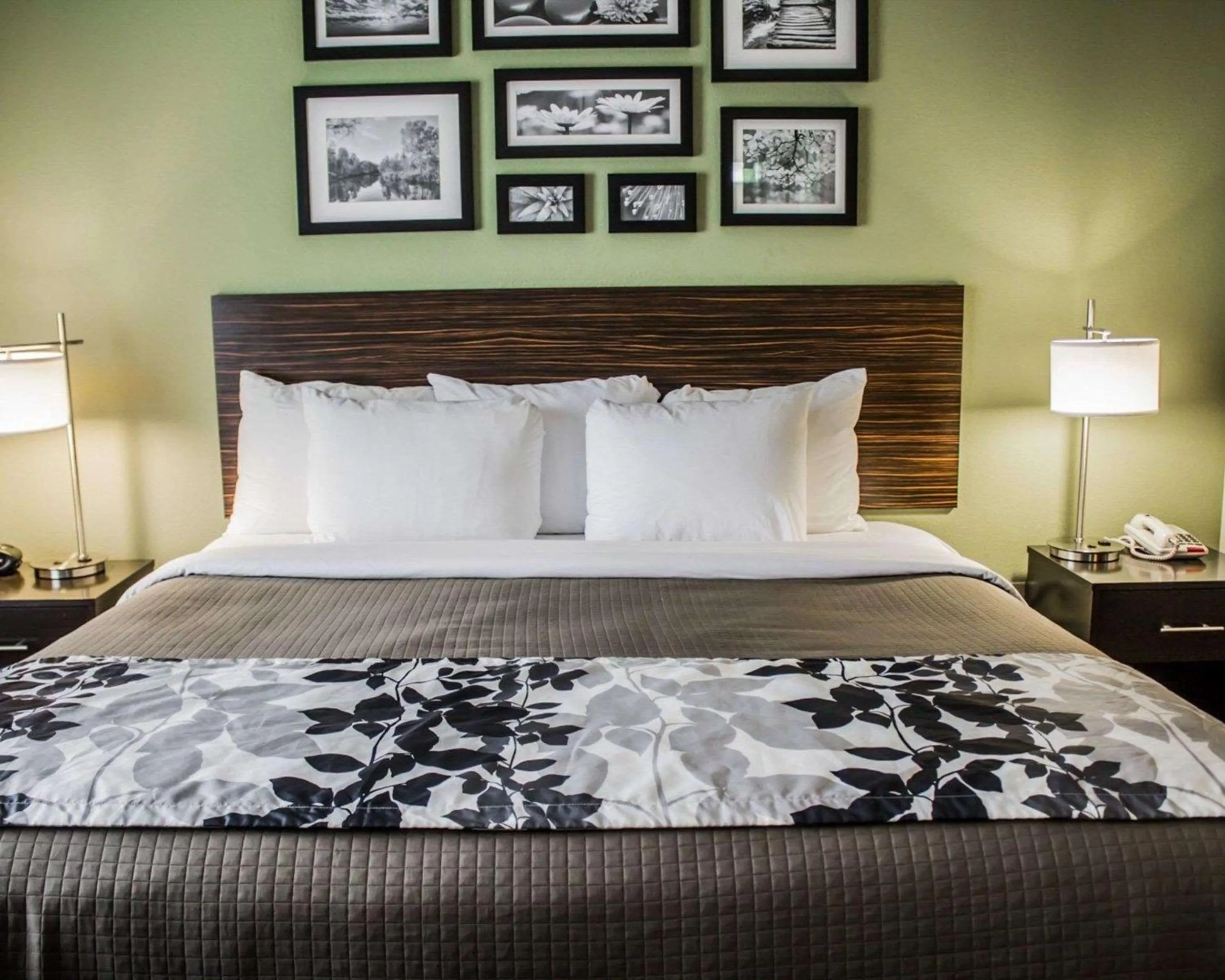 Bedroom, Bed in Sleep Inn & Suites Harrisburg - Hershey Southwest