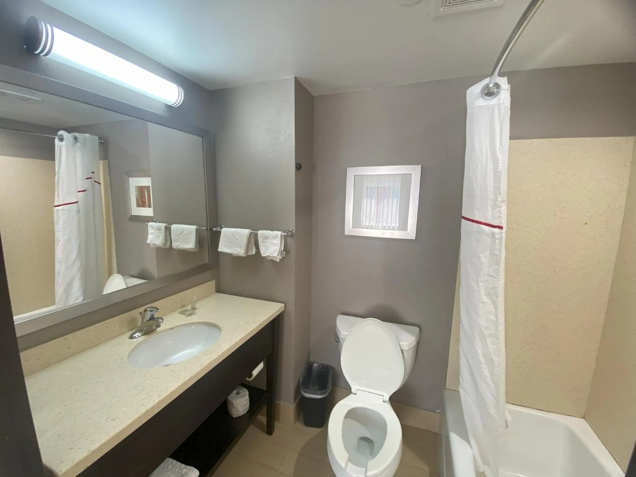 Bathroom in Red Roof Inn Pittsburgh - McKnight Rd