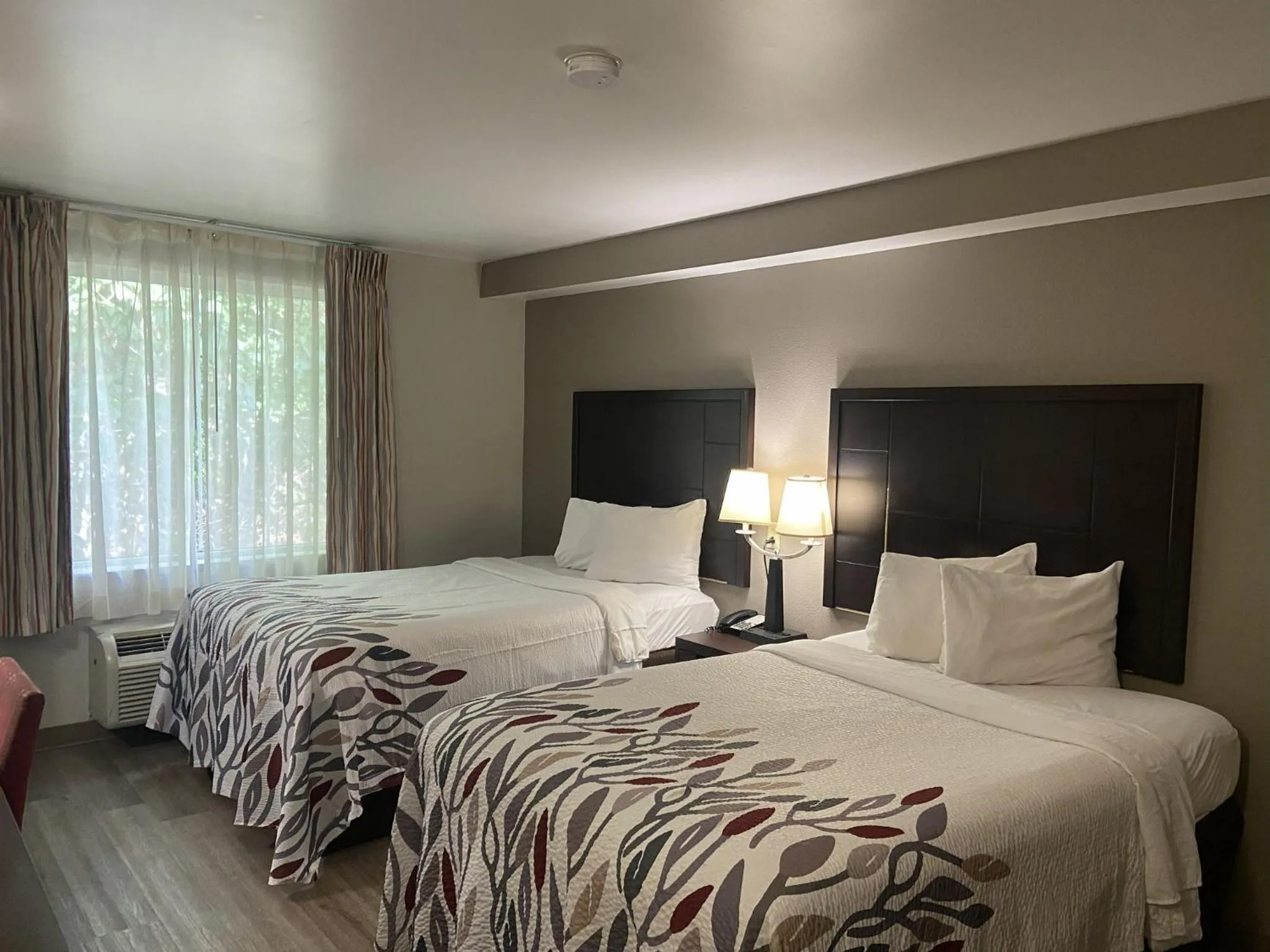 Photo of the whole room, Bed in Red Roof Inn Pittsburgh - McKnight Rd