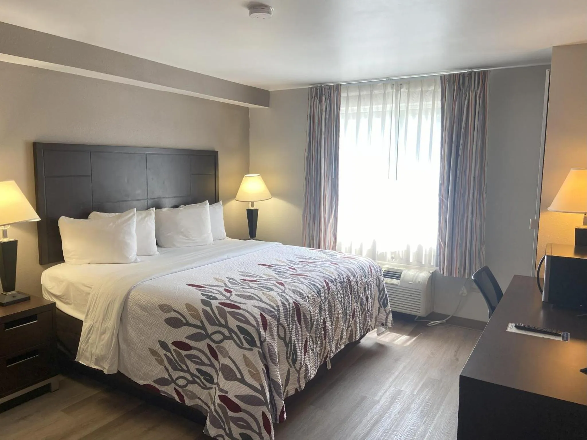 Photo of the whole room, Bed in Red Roof Inn Pittsburgh - McKnight Rd