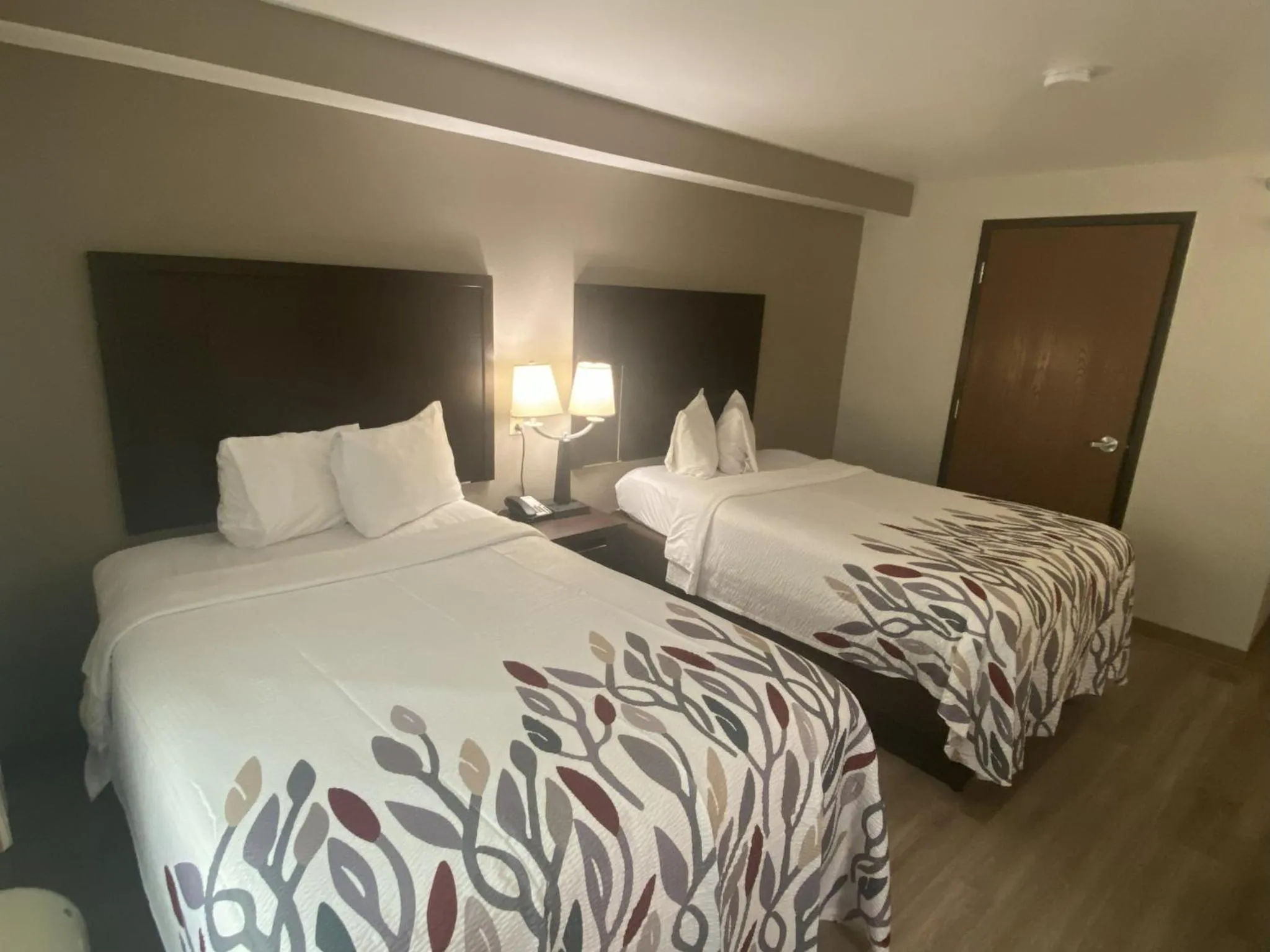 Photo of the whole room, Bed in Red Roof Inn Pittsburgh - McKnight Rd