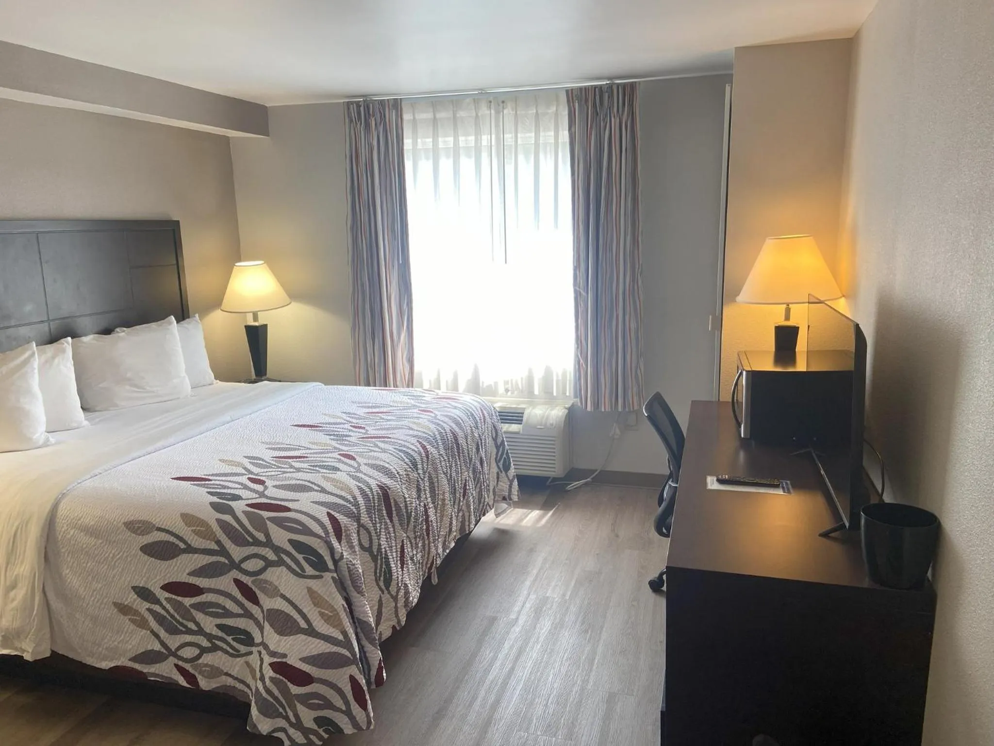 Photo of the whole room, Bed in Red Roof Inn Pittsburgh - McKnight Rd