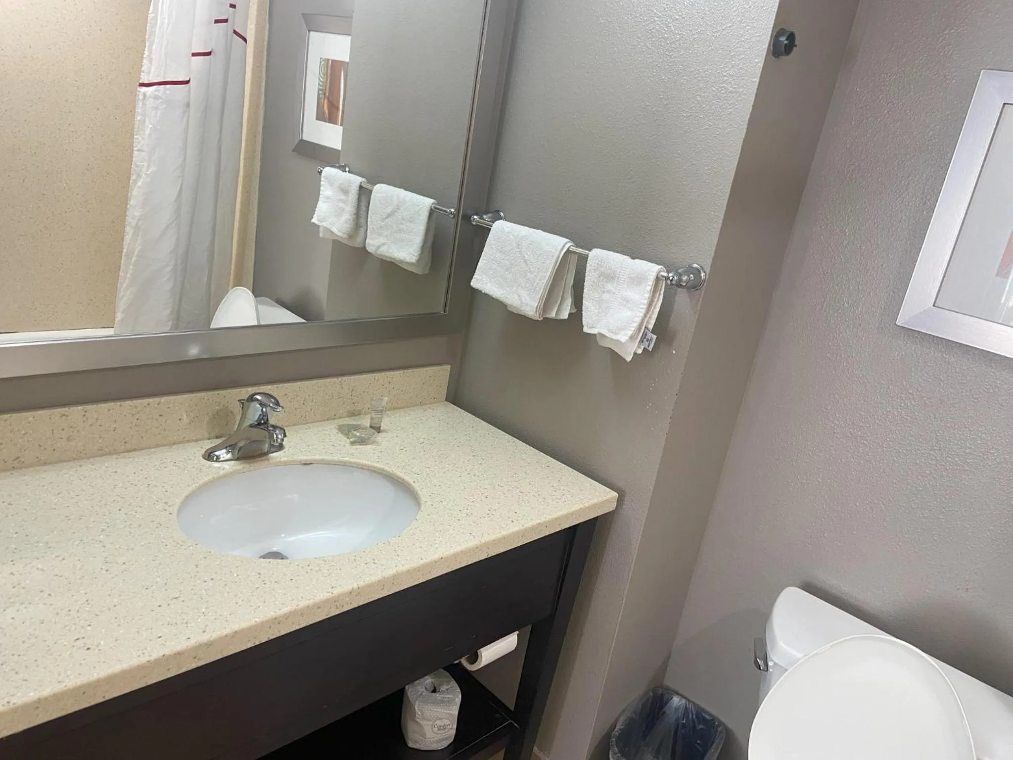 Bathroom in Red Roof Inn Pittsburgh - McKnight Rd