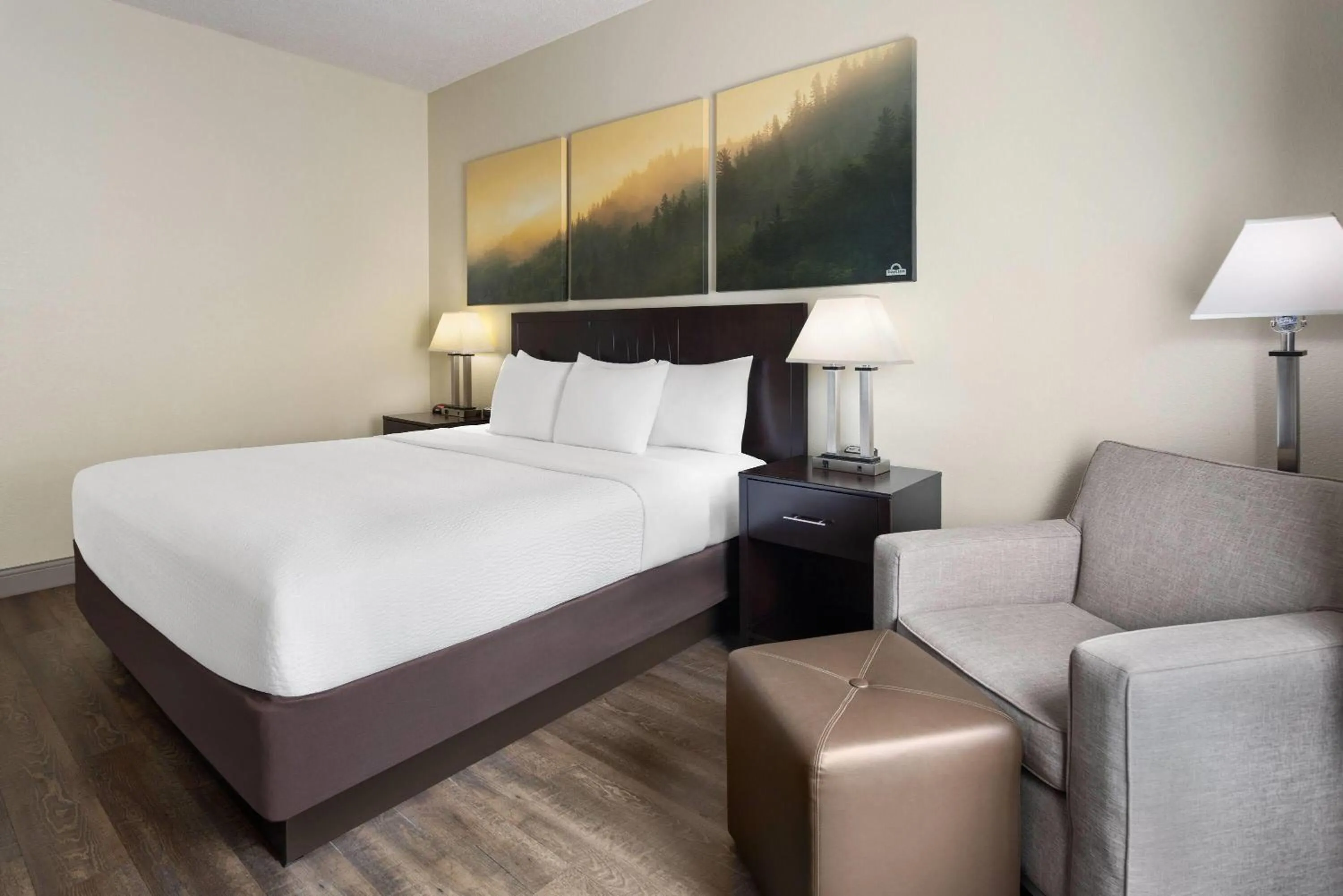 Photo of the whole room, Bed in Days Inn by Wyndham Penn State