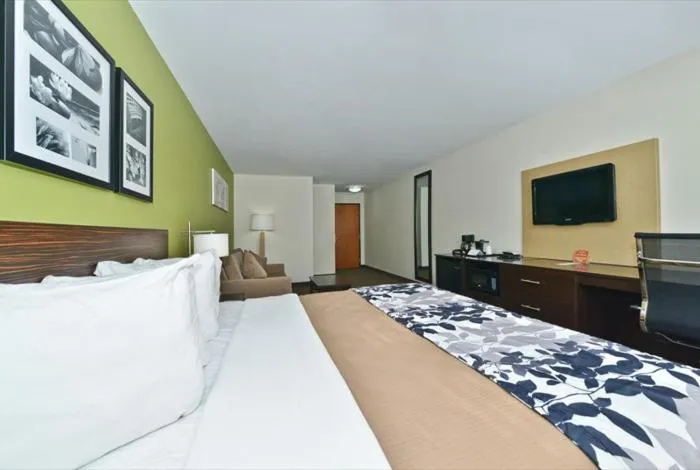 TV and multimedia, Bed in Sleep Inn & Suites Harrisburg - Hershey North