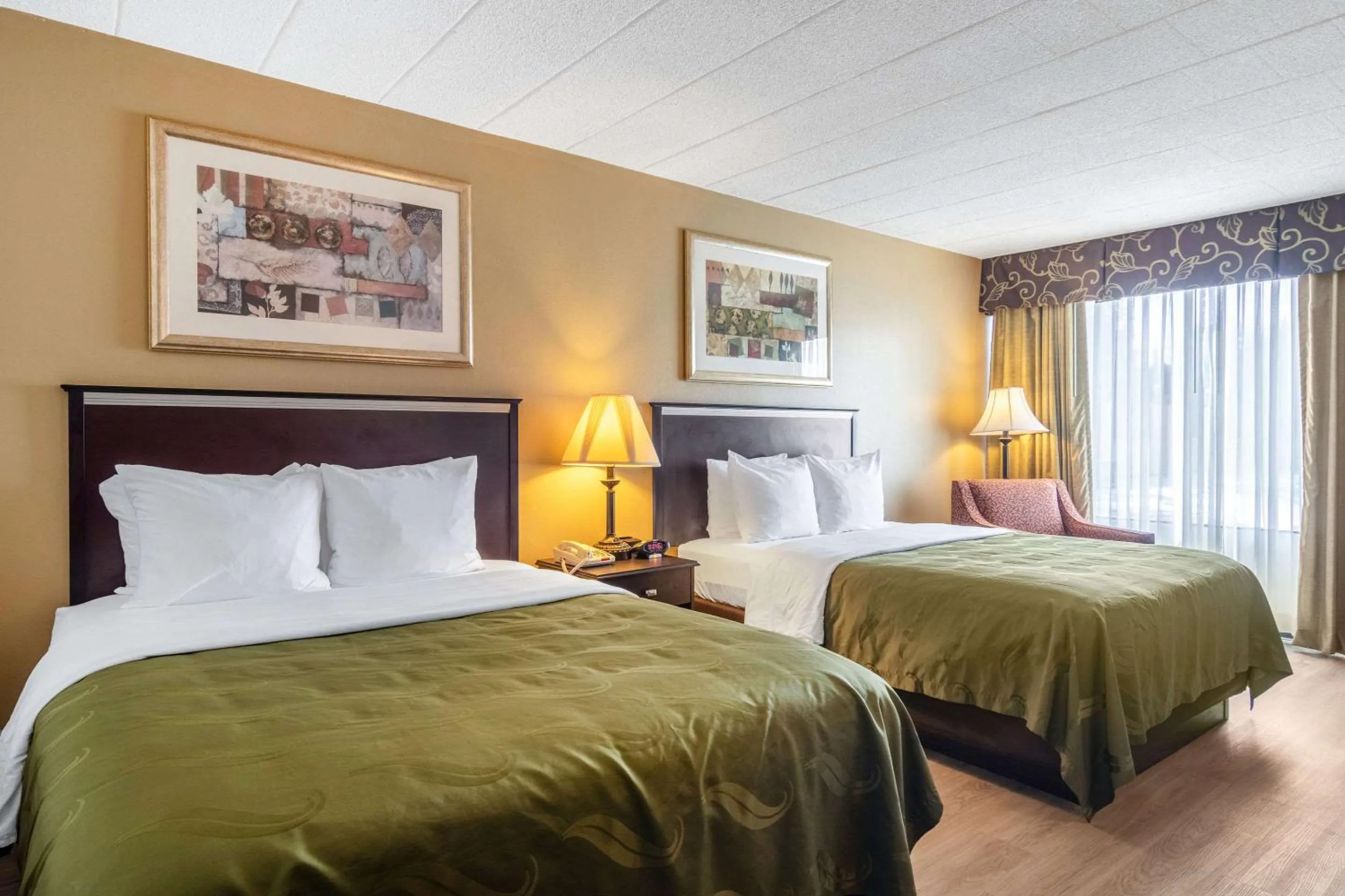 Photo of the whole room, Bed in Quality Inn & Suites