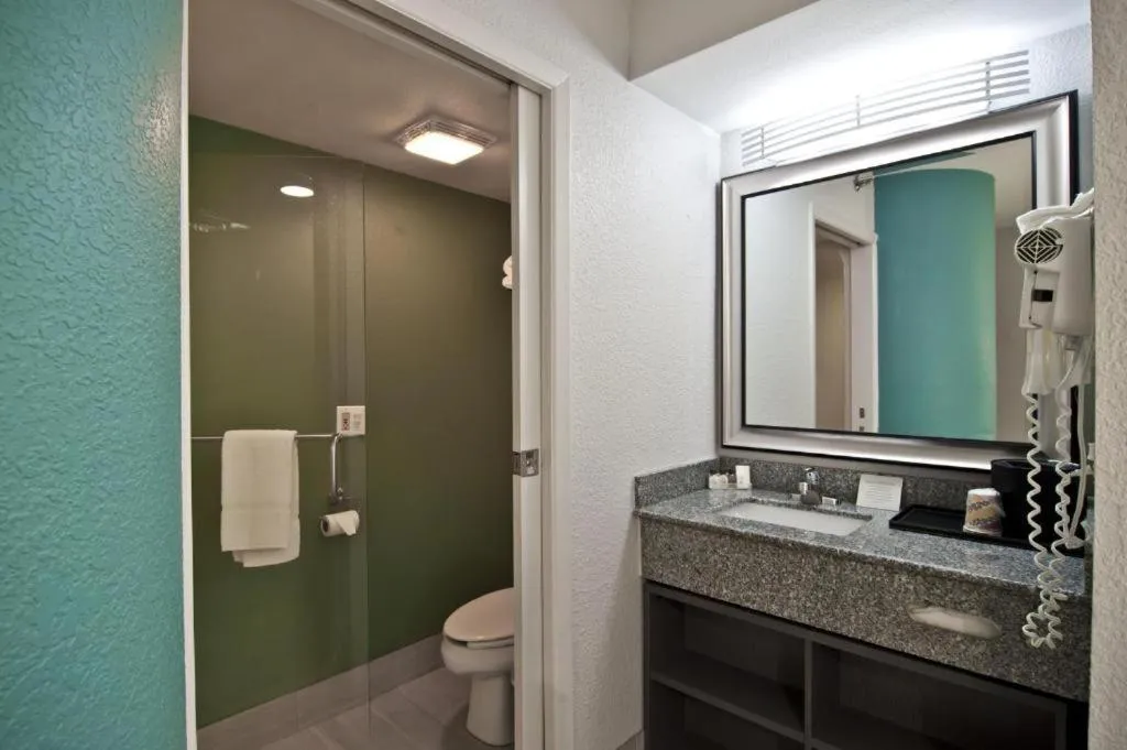 Bathroom in Inn at Clemson