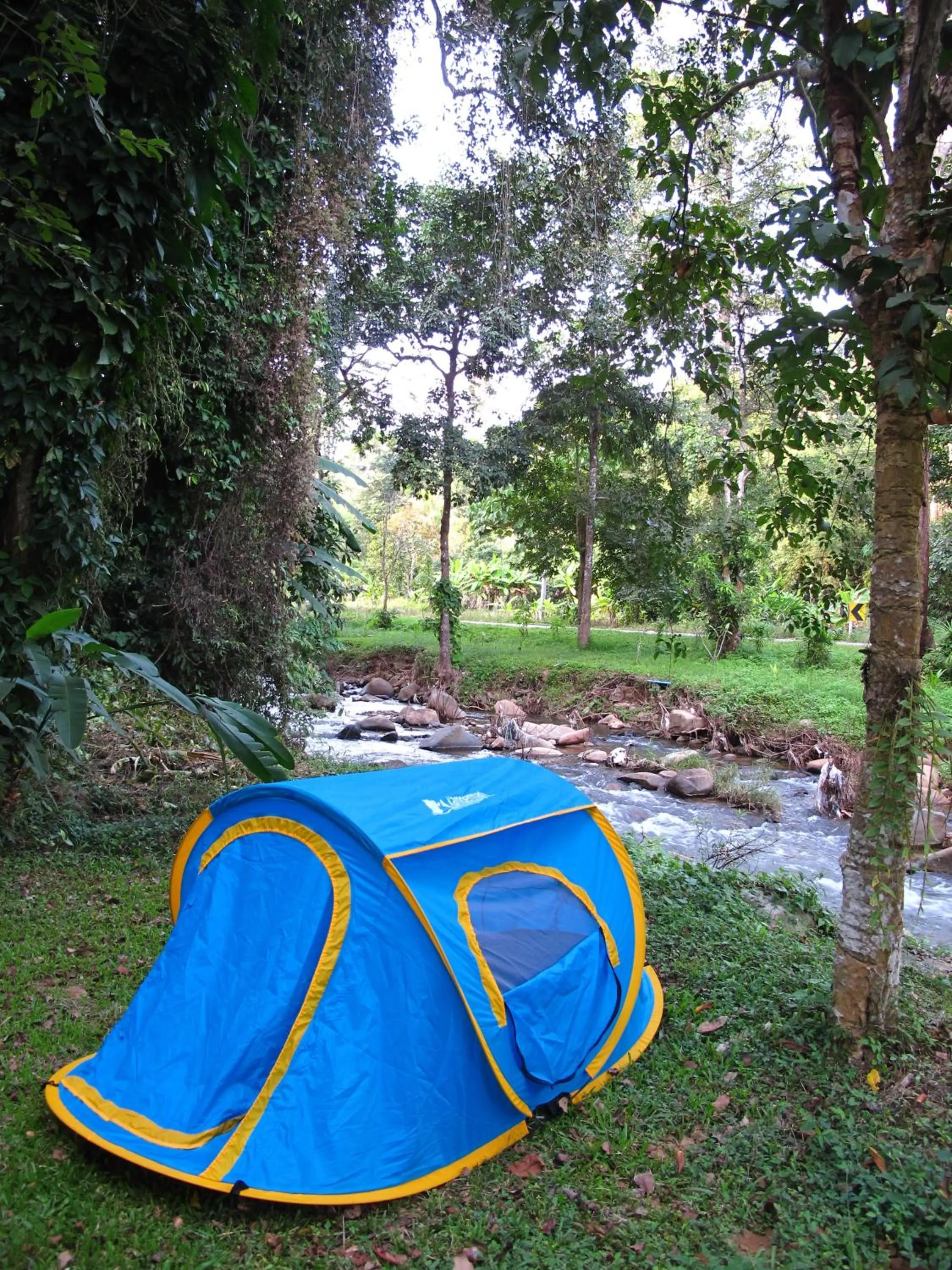 Day in Villa Darakorn Hill Country House