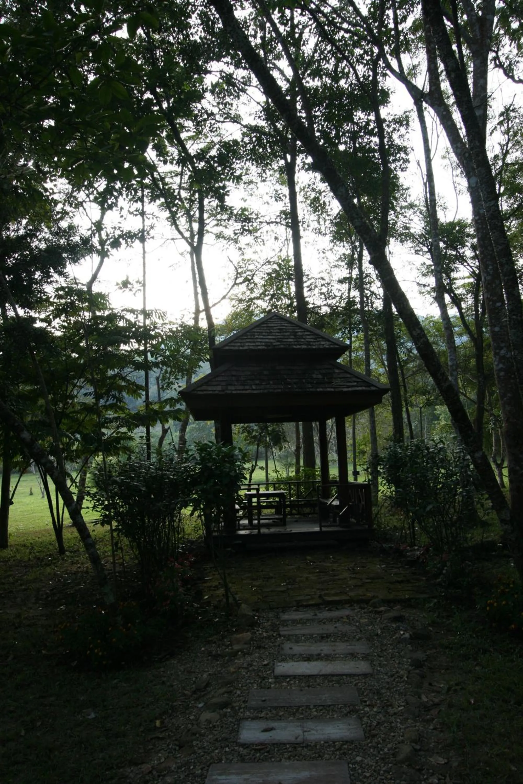 Garden in Villa Darakorn Hill Country House