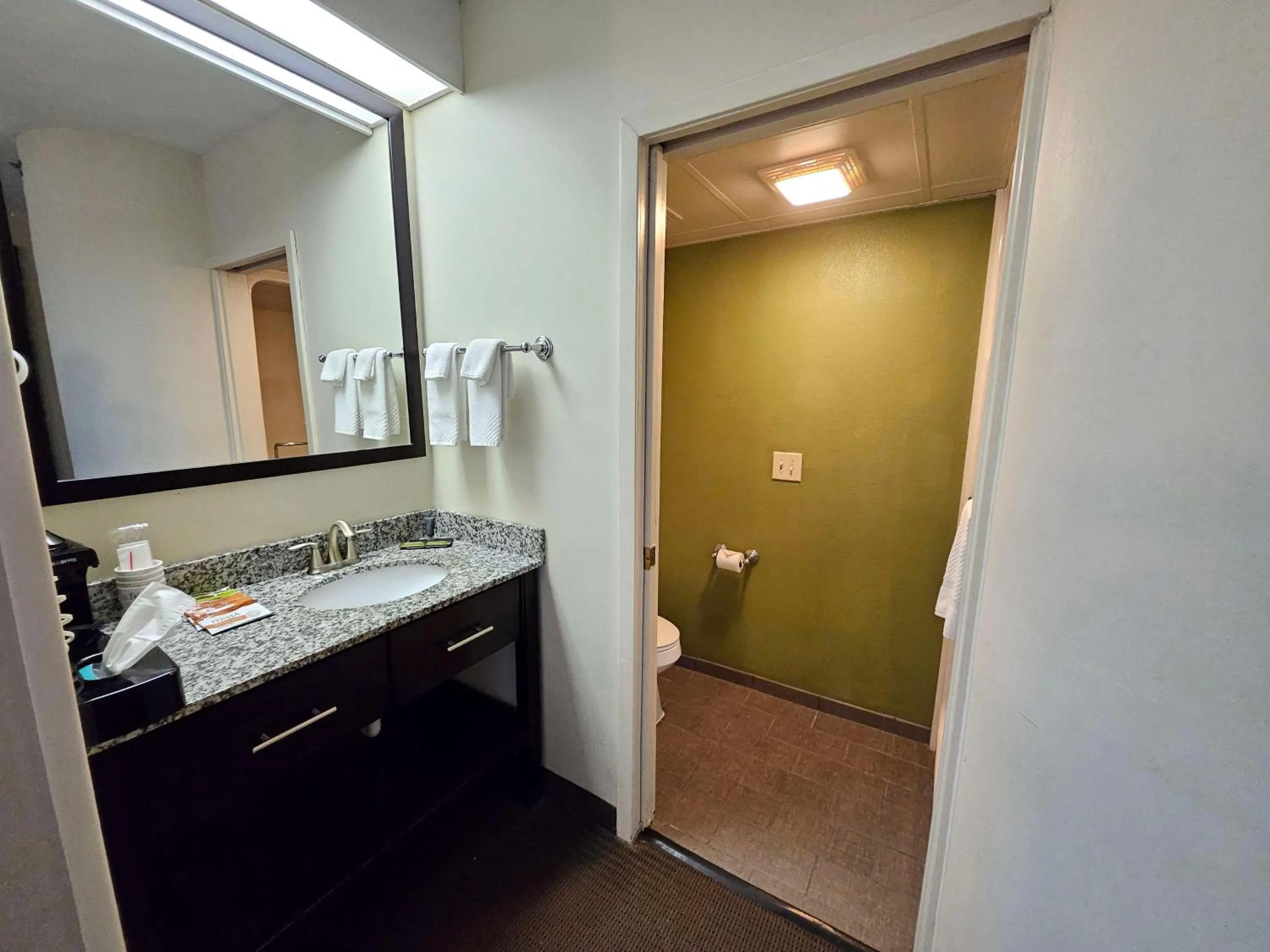 Bathroom in SureStay by Best Western Summerville Flowertown