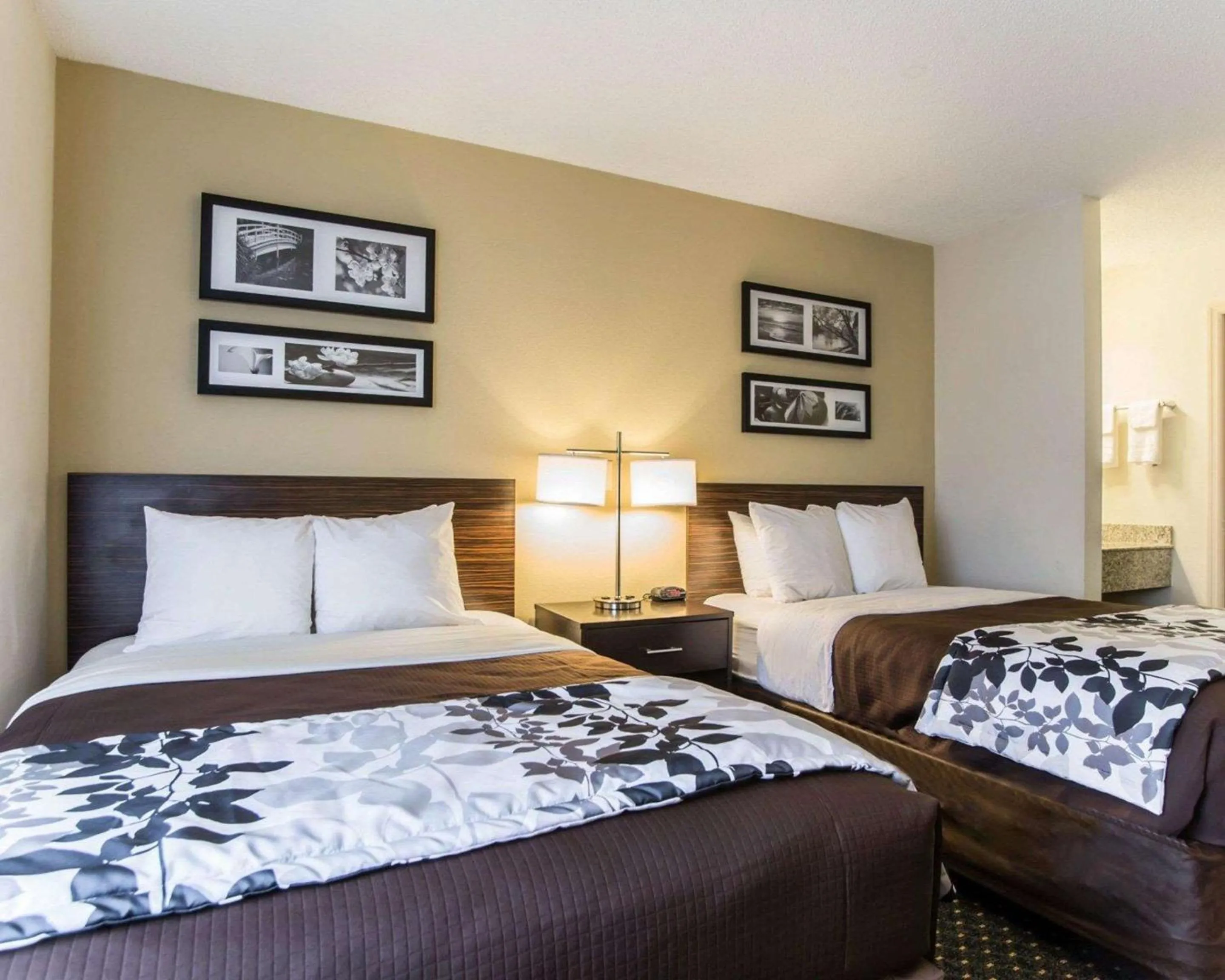 Bedroom, Bed in Sleep Inn Florence North