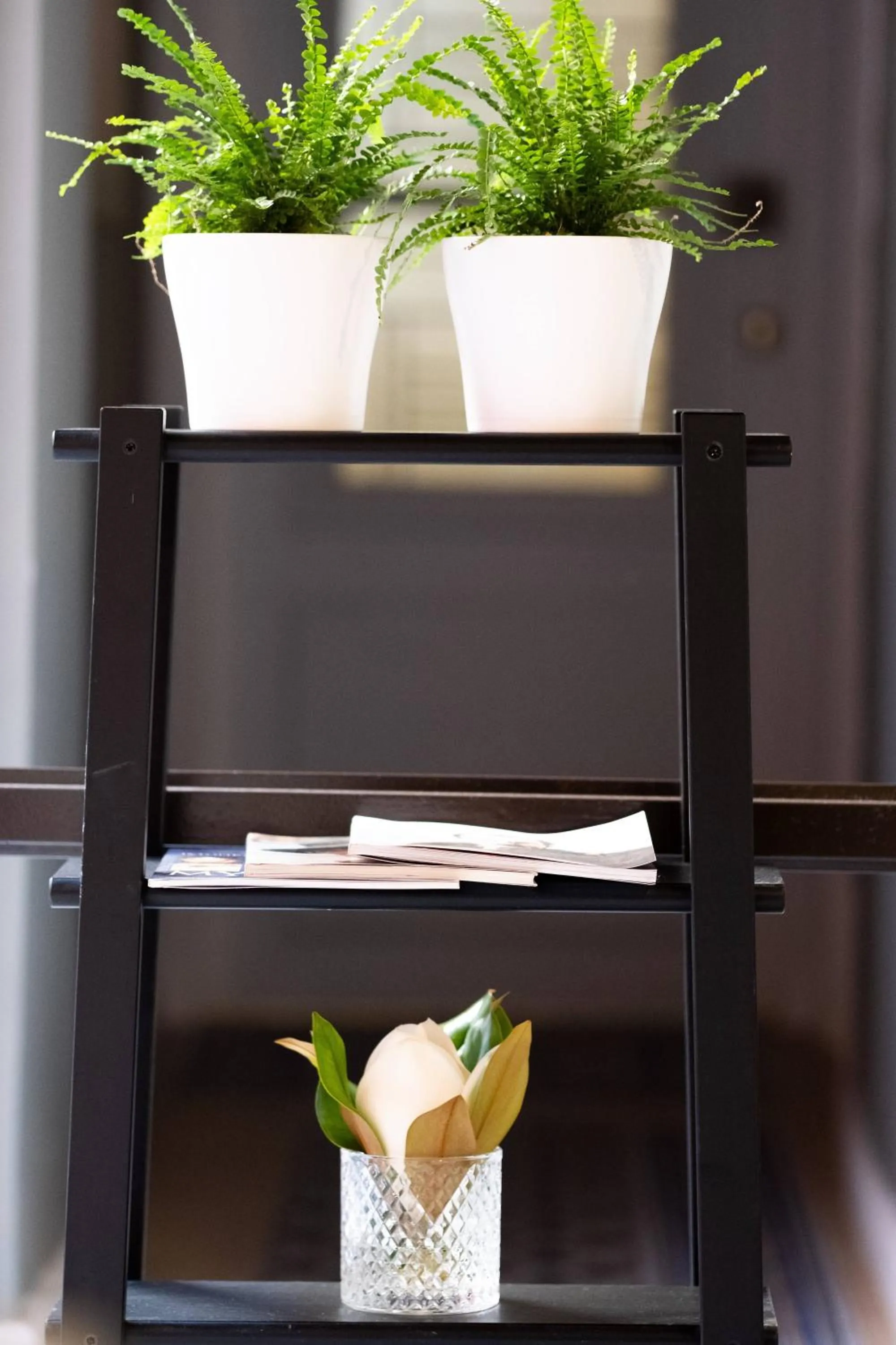 Internal: Not applicable to any particular room in ATHENIAN YARD SUITES