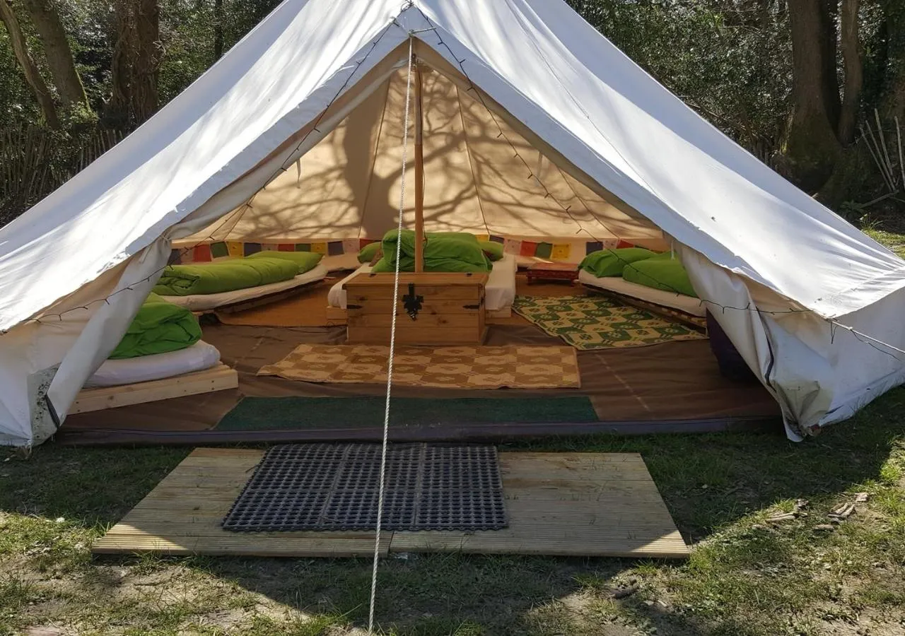 Natural landscape in YHA South Downs