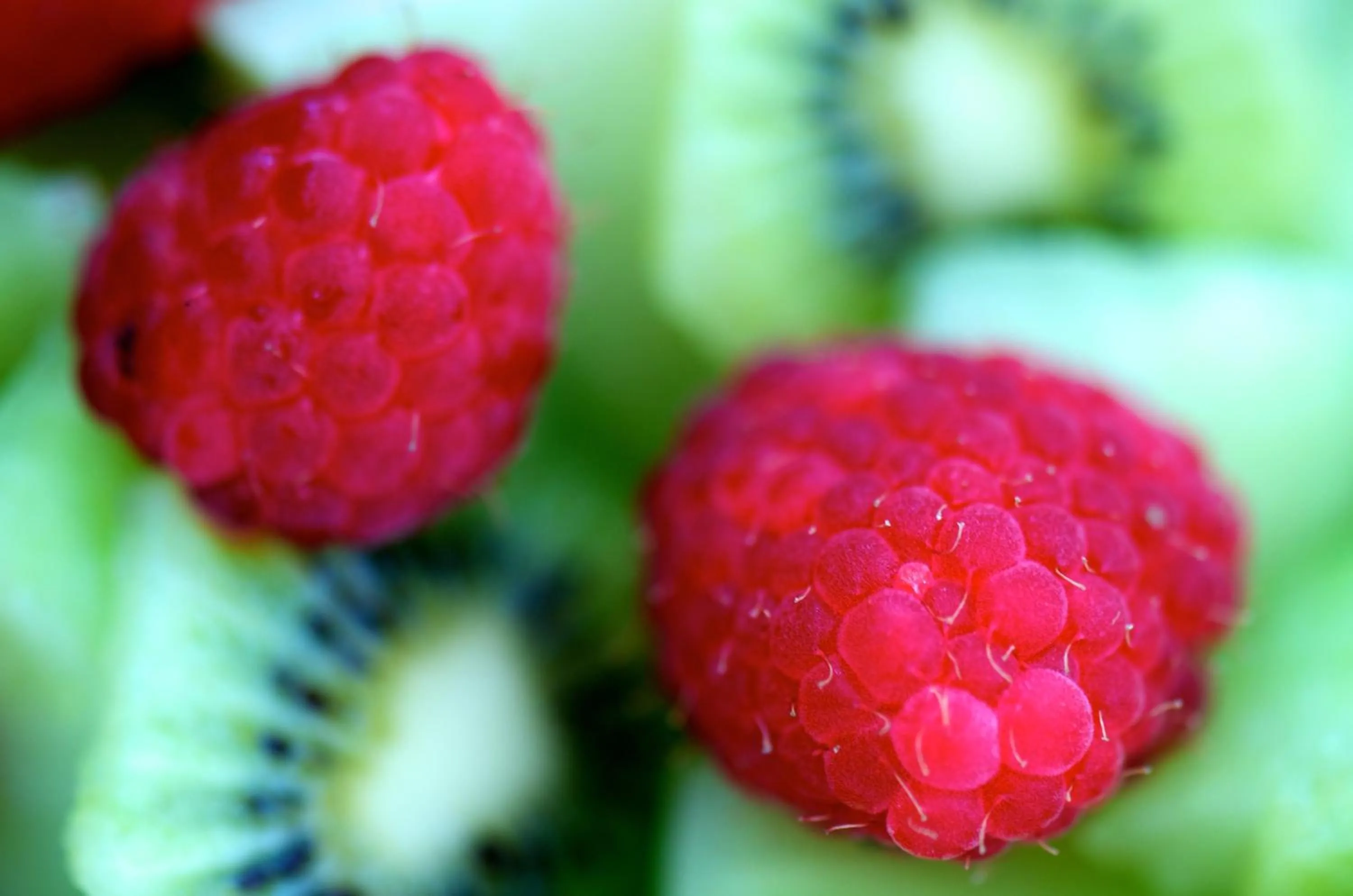 Food close-up in Onefifty