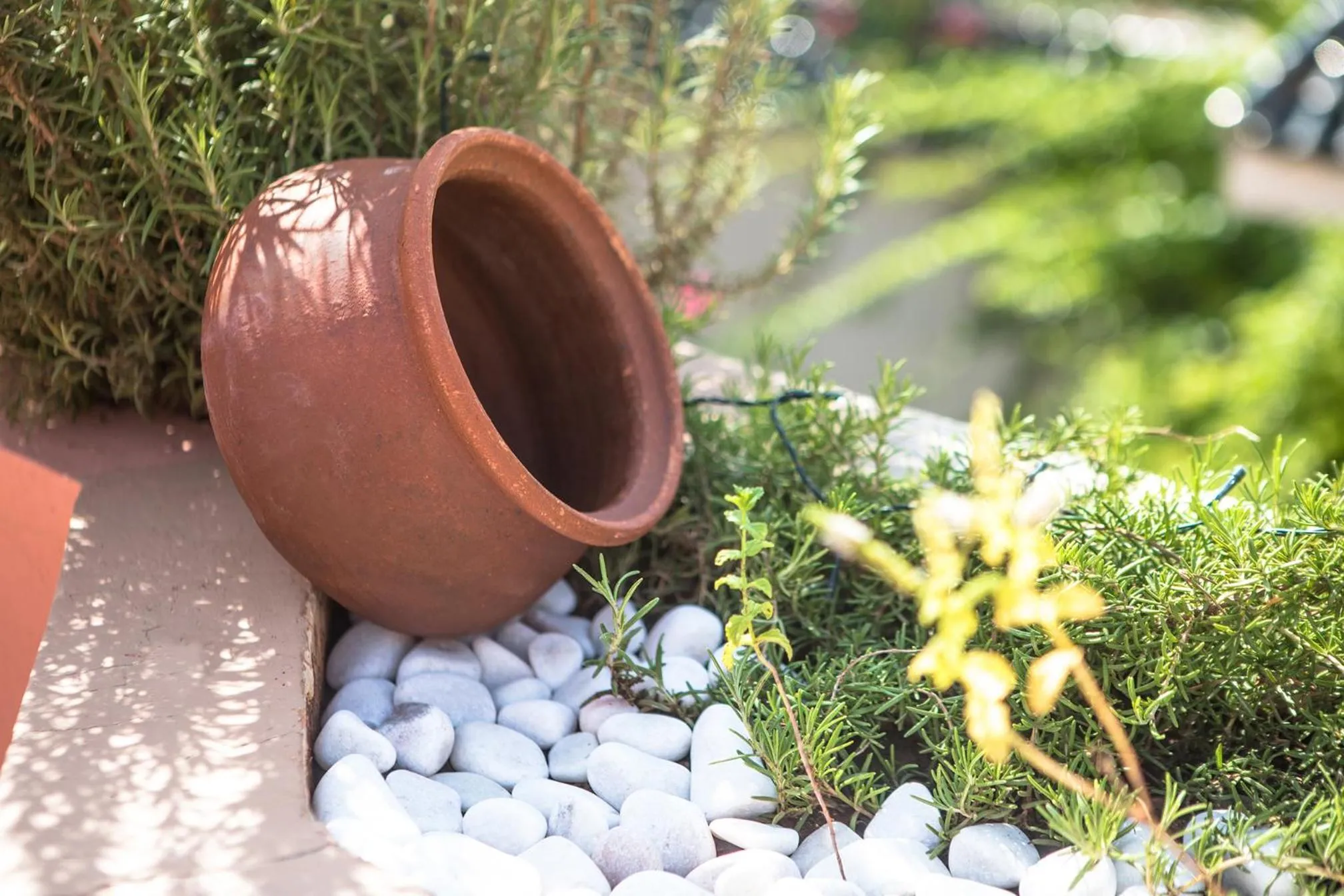 Balcony/Terrace in Riad Villa Harmonie