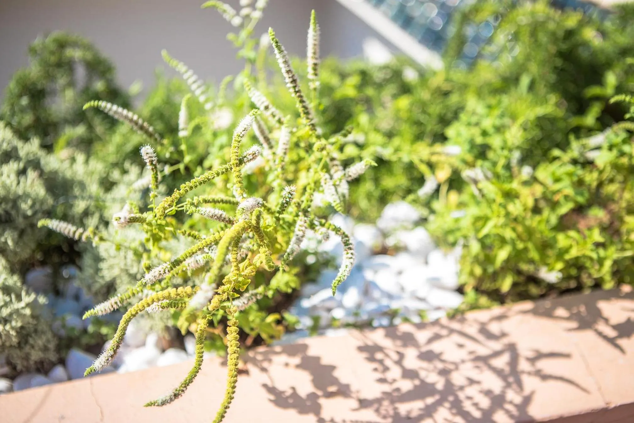 Decorative detail in Riad Villa Harmonie