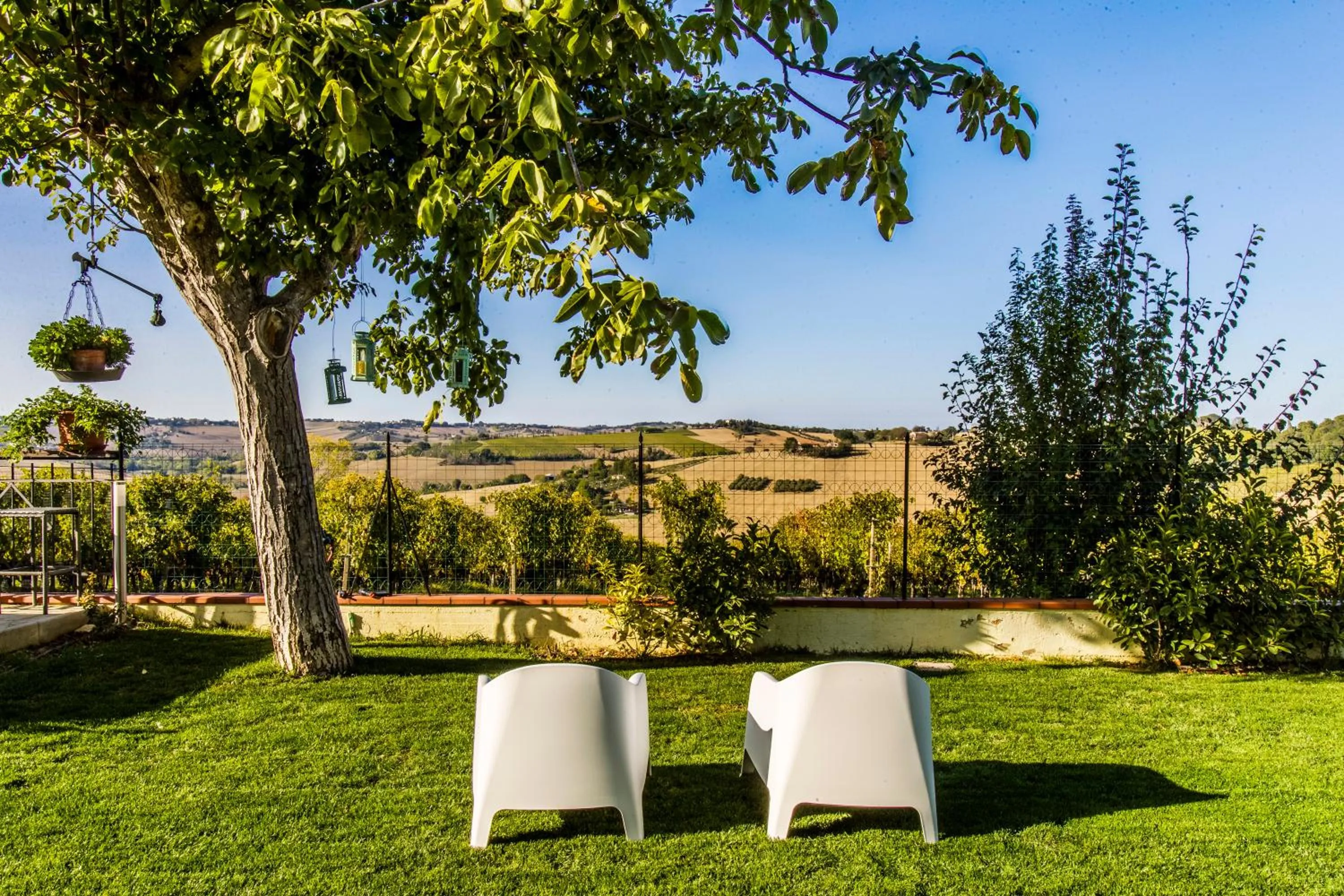 Garden in B&B Al Chicco d'Uva