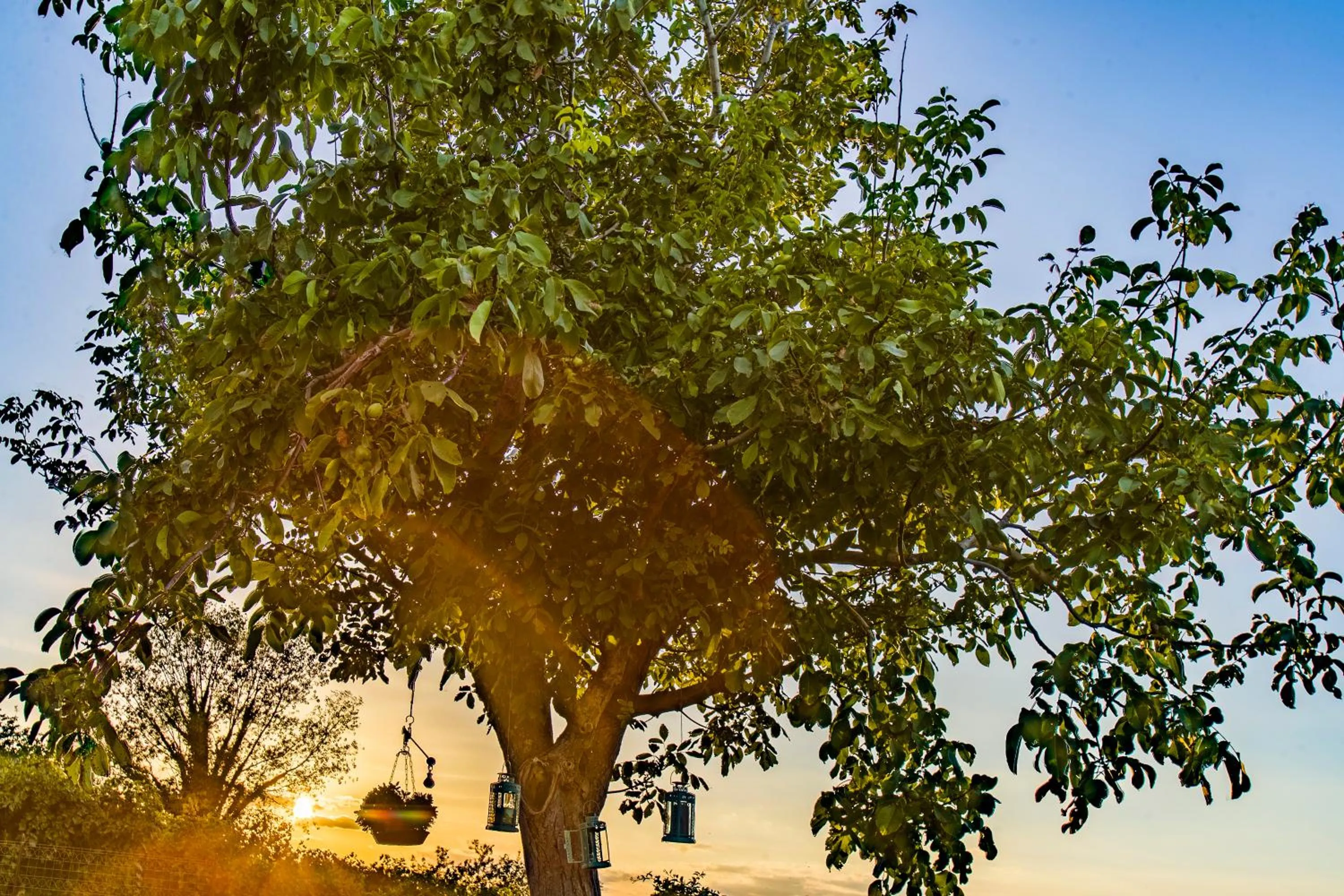 Garden in B&B Al Chicco d'Uva