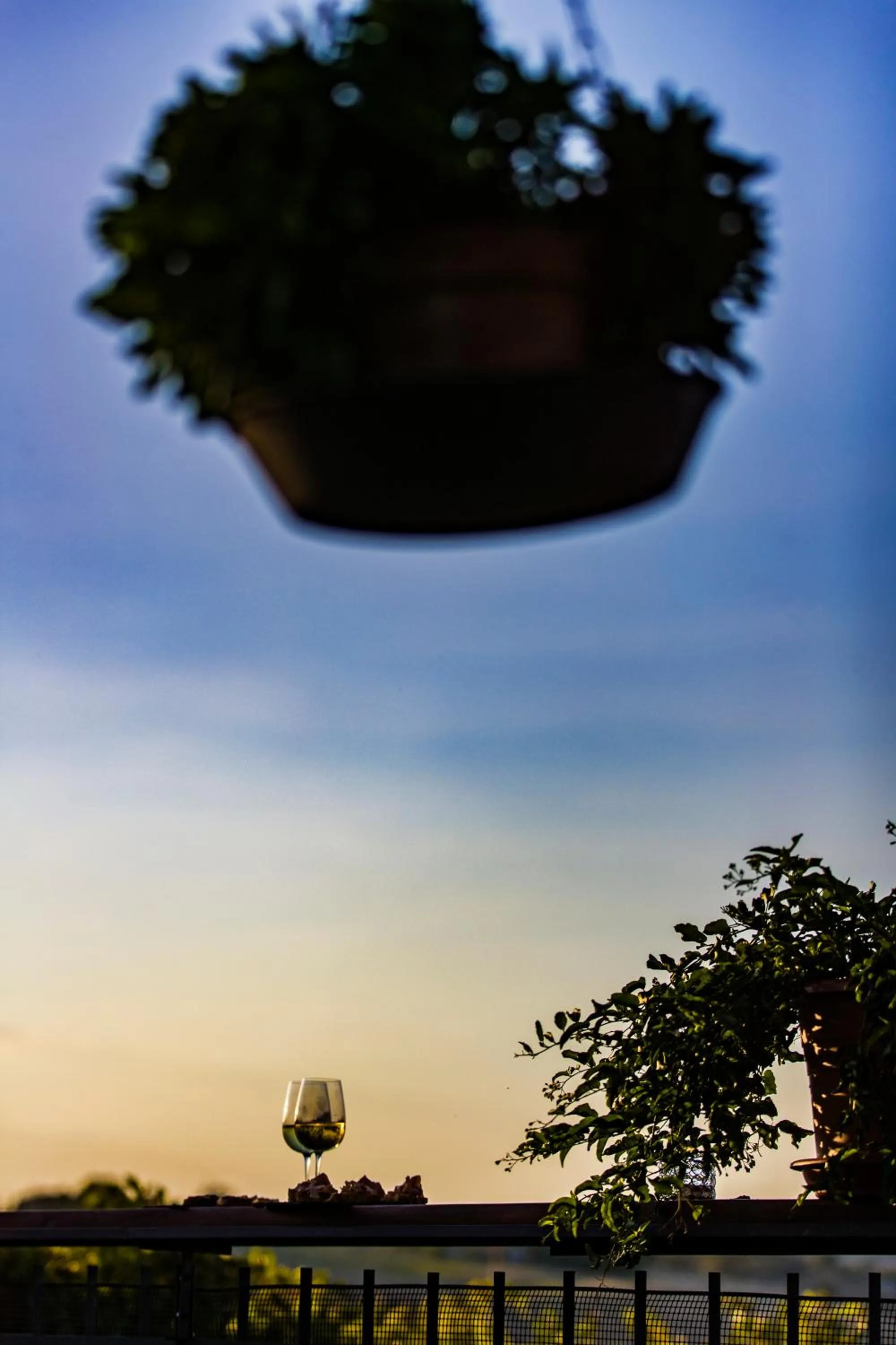 View (from property/room) in B&B Al Chicco d'Uva