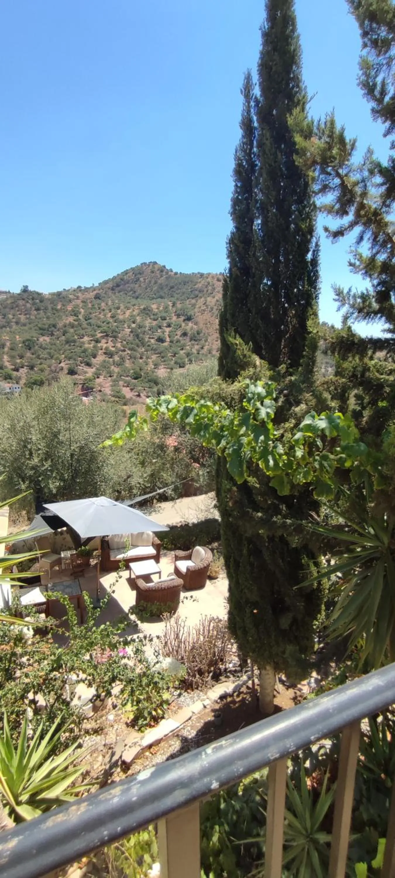 B&B Cortijo Loma León