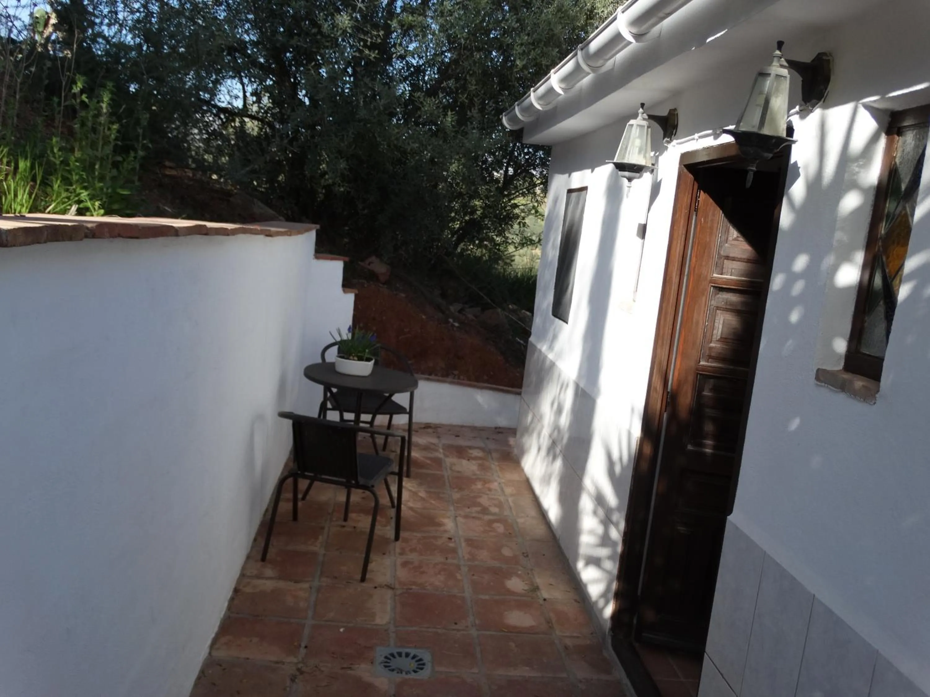 B&B Cortijo Loma León