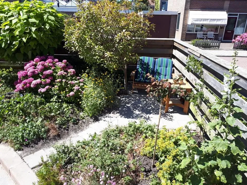 Garden in B&B De Blauwe Tulp