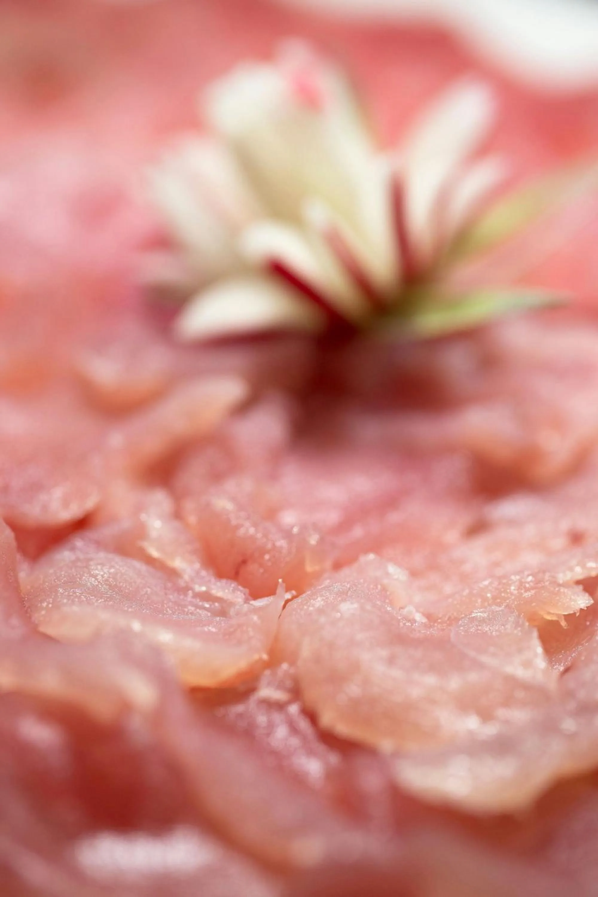 Restaurant/places to eat in Le Méridien Nouméa Resort & Spa