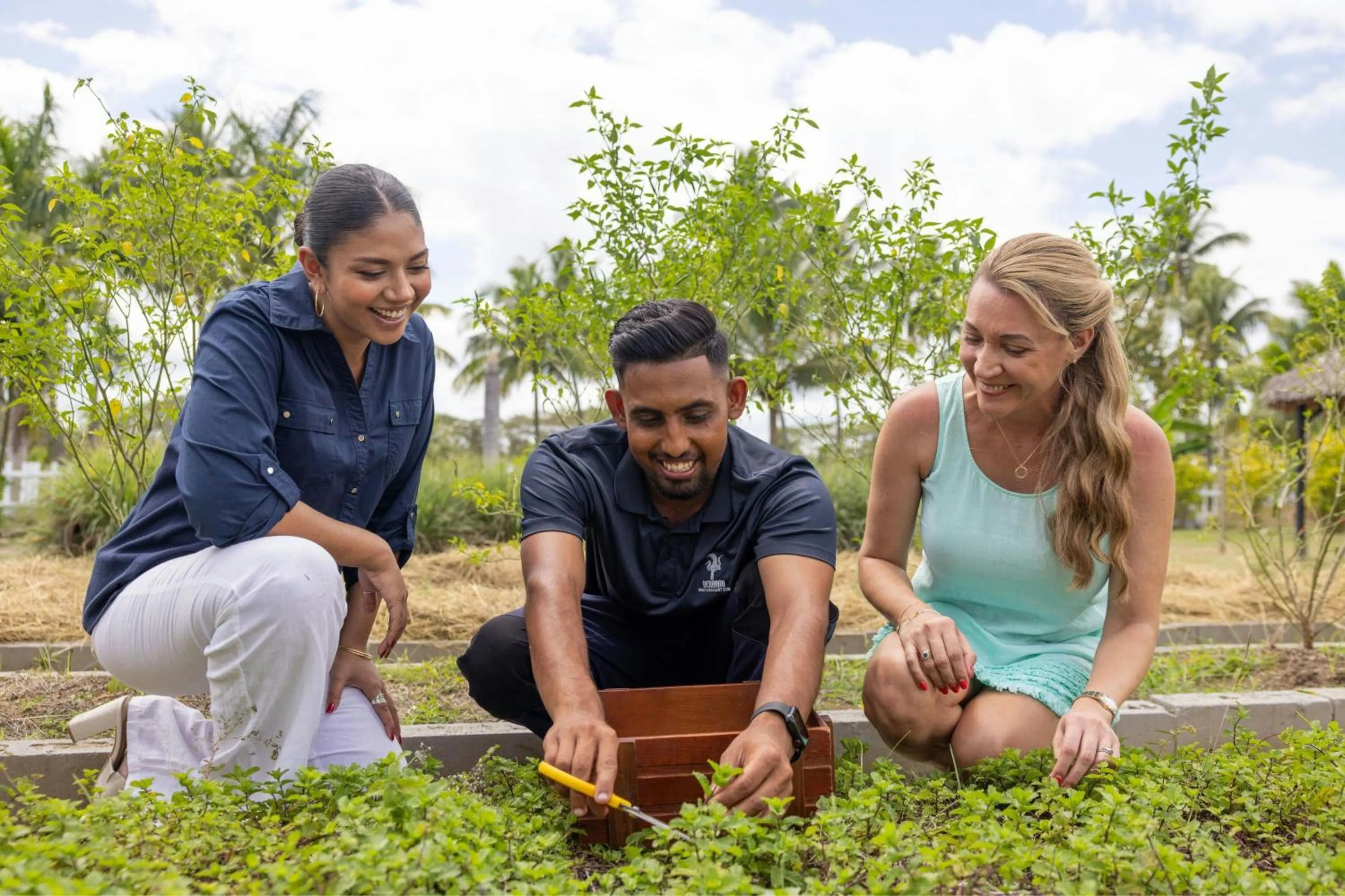 Meeting/conference room in Sheraton Fiji Golf & Beach Resort