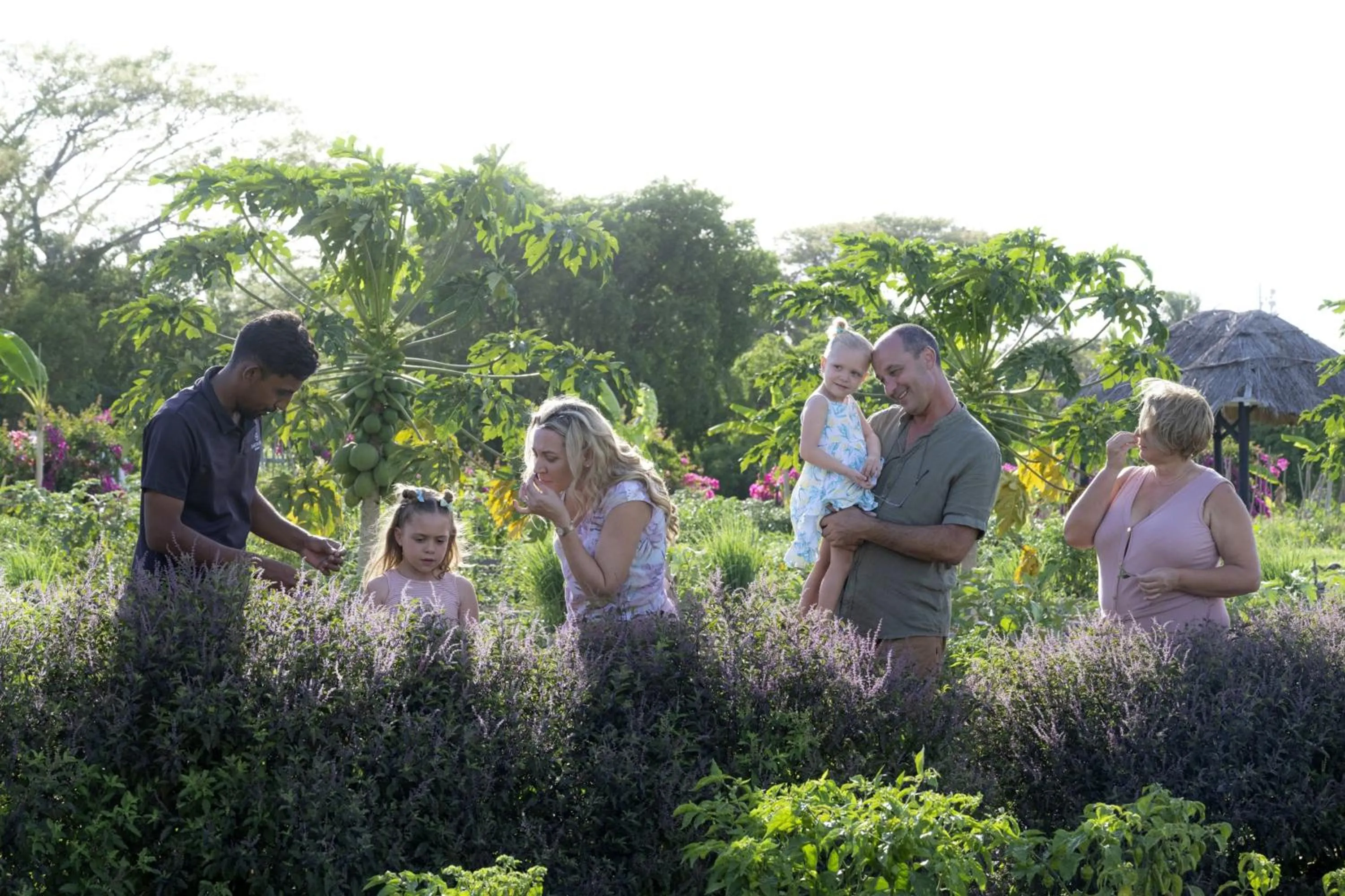 Other in Sheraton Fiji Golf & Beach Resort