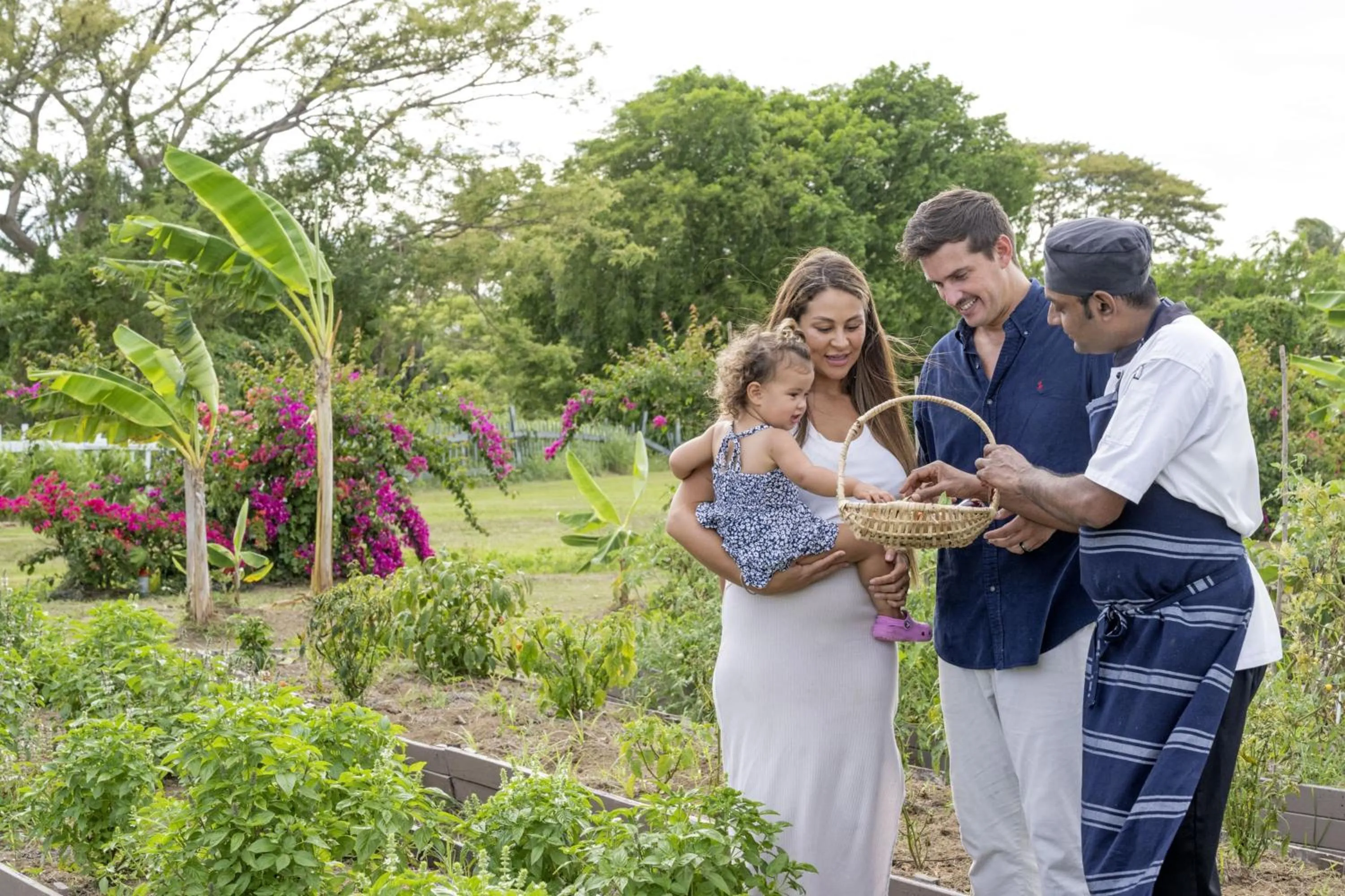 Other in Sheraton Fiji Golf & Beach Resort