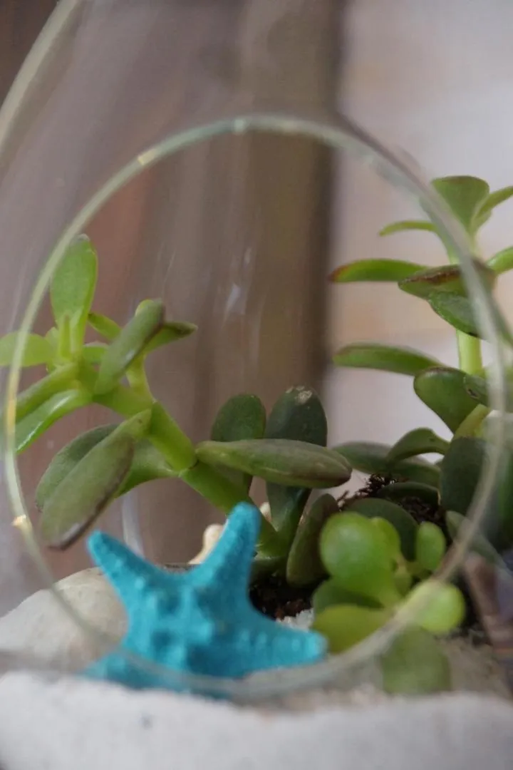 Decorative detail in Hotel La Cote Oceane- Bureau- 250 m plage