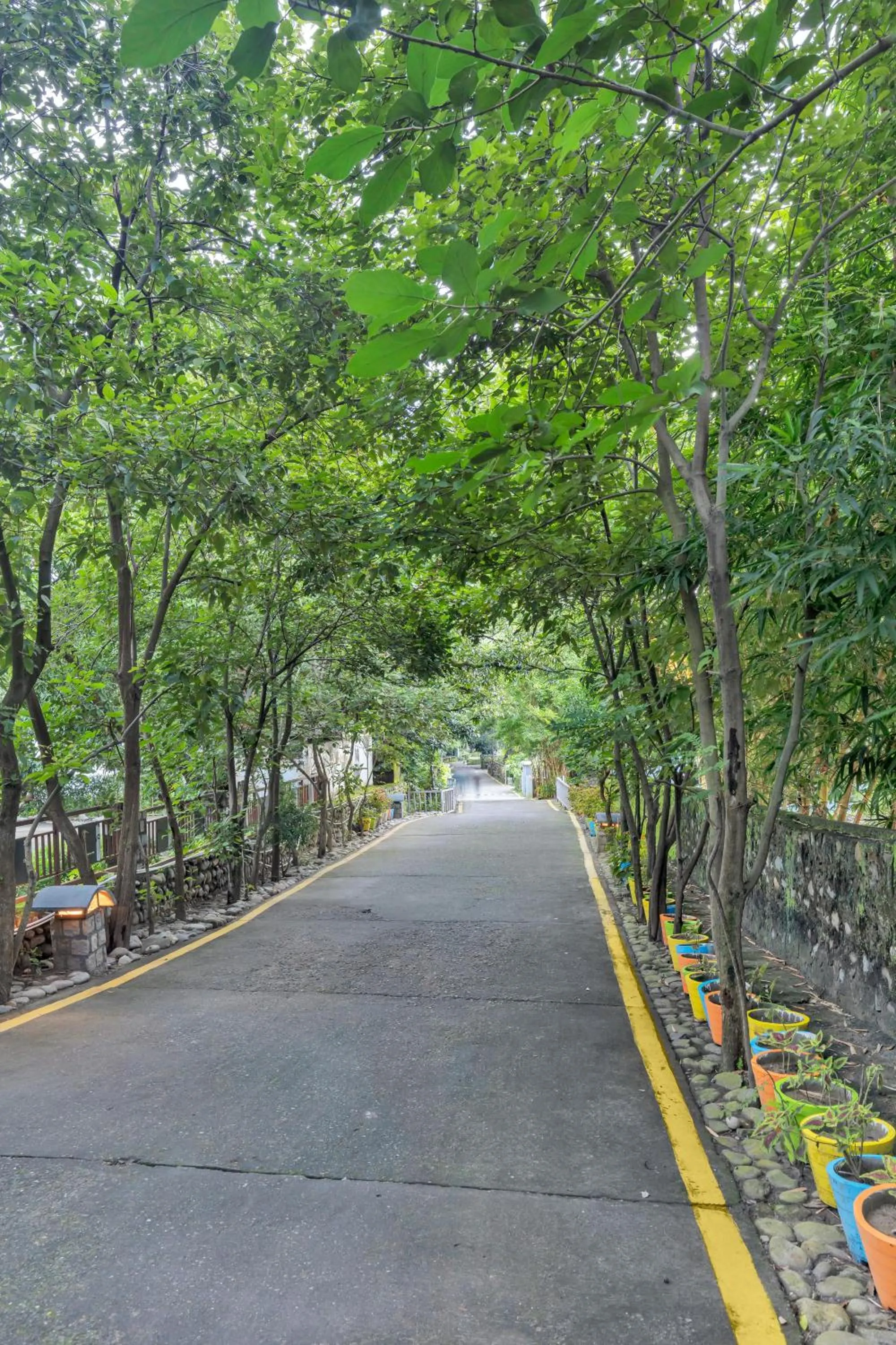 Property building in Club Mahindra Corbett