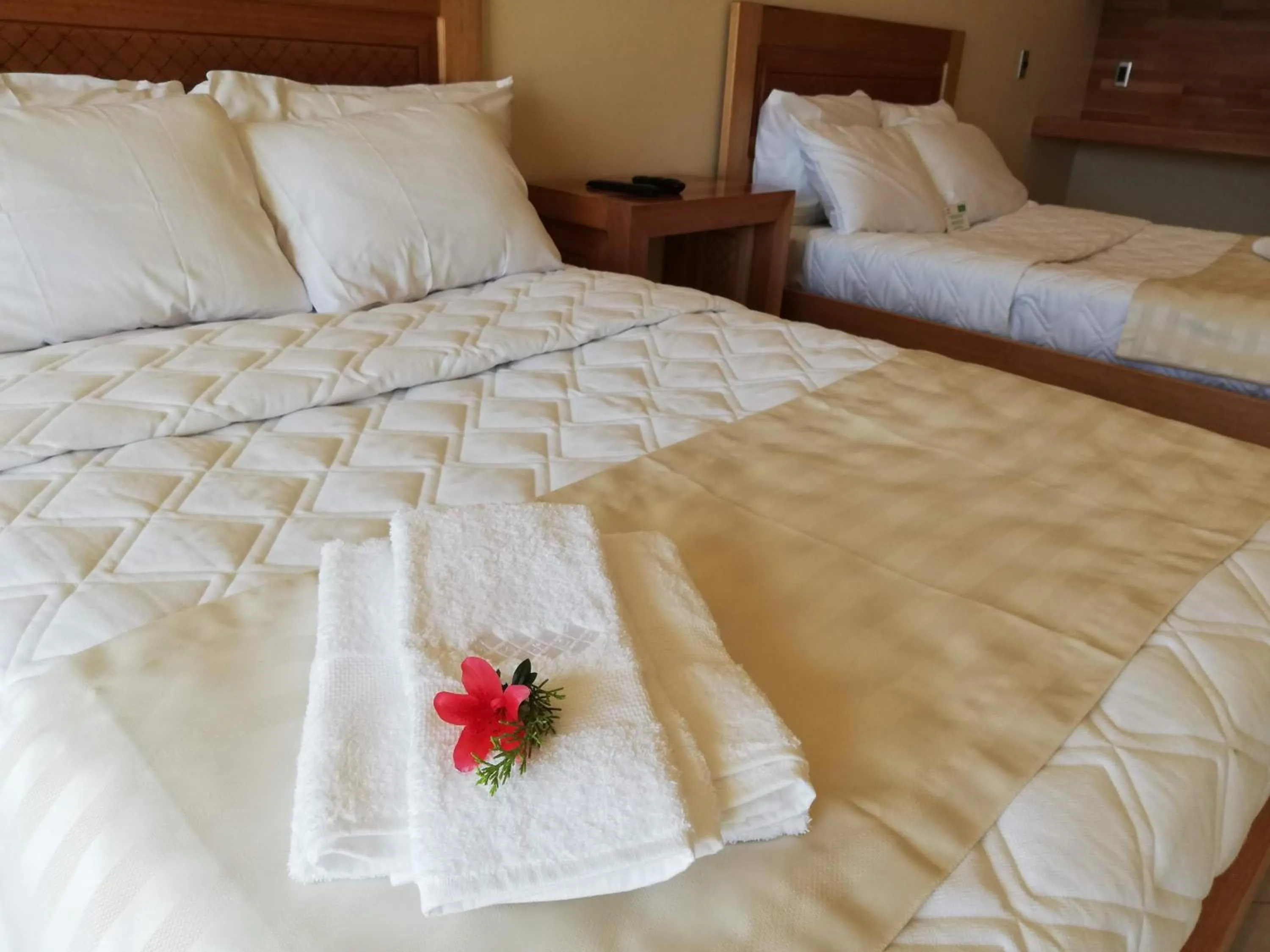 Bed in Hacienda Maxdá