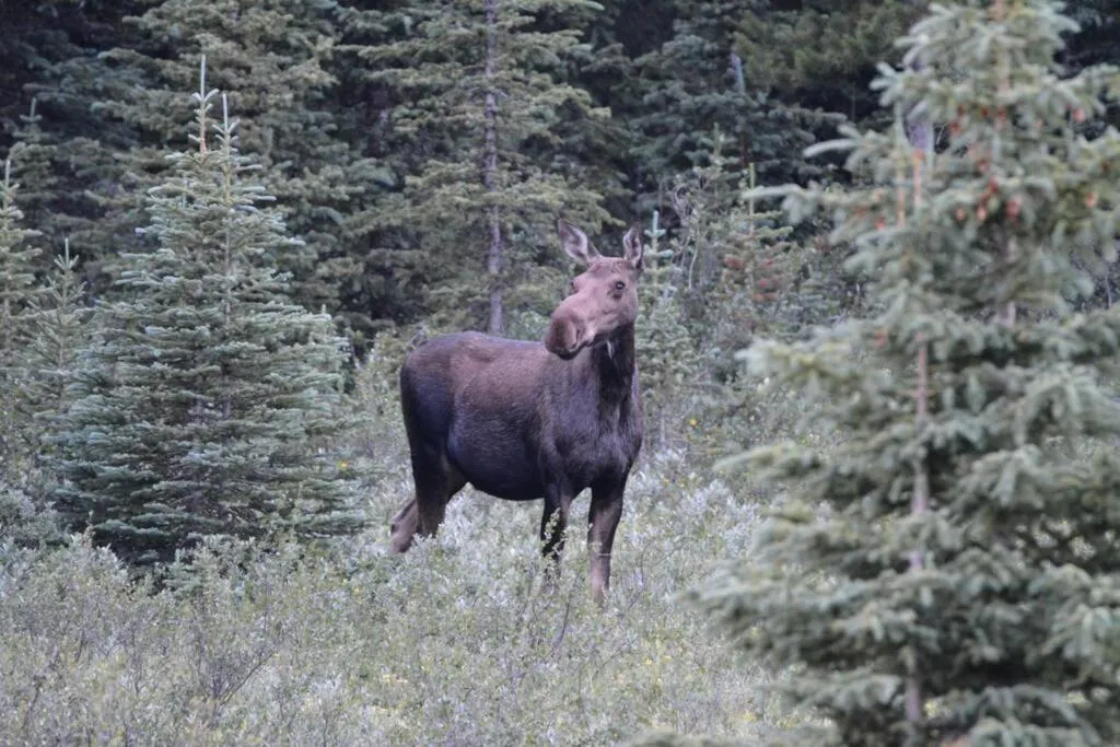 Sundance Suite - Beautiful Condo With Open Pool And Hot Tub