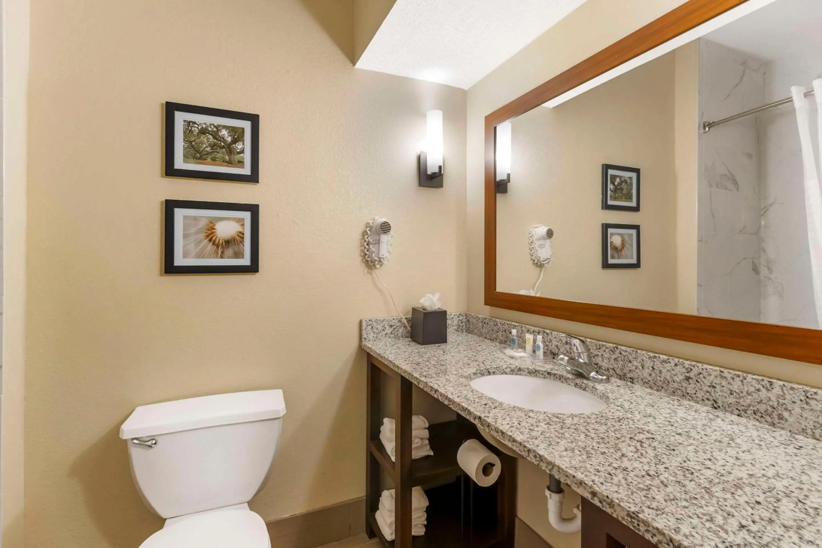 Bedroom in Comfort Suites At the University