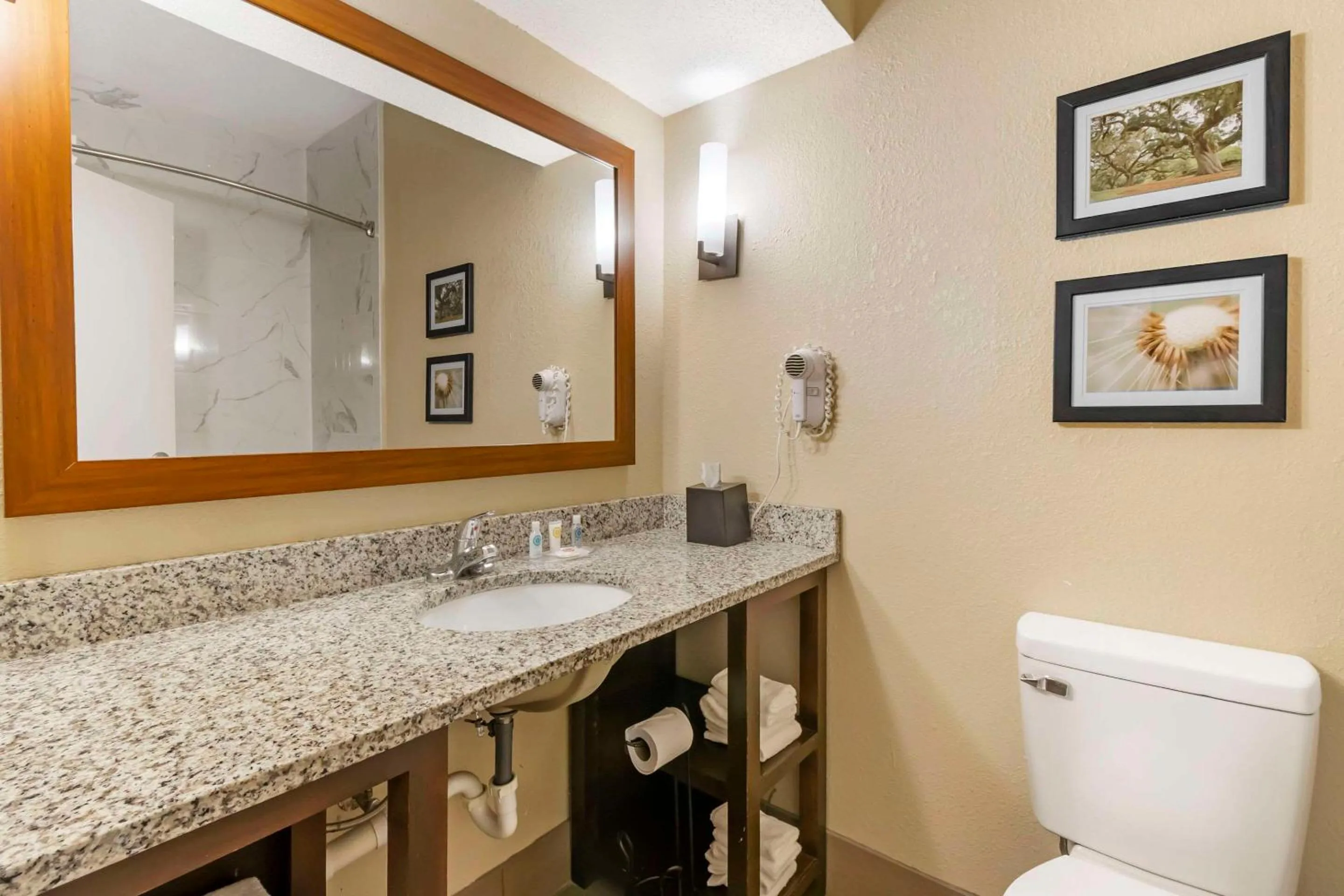 Bedroom in Comfort Suites At the University