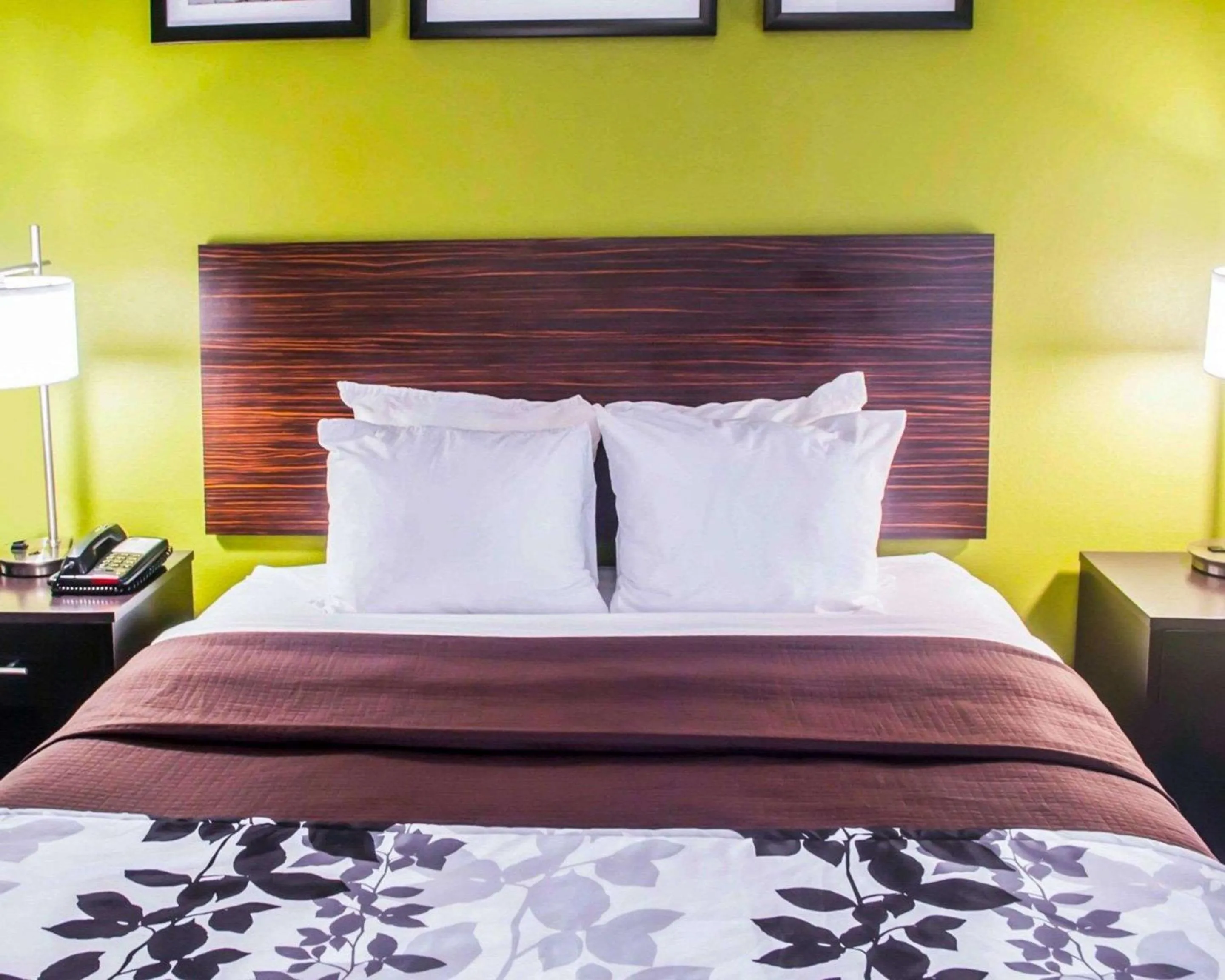 Photo of the whole room, Bed in Quality Inn Conway Northwest