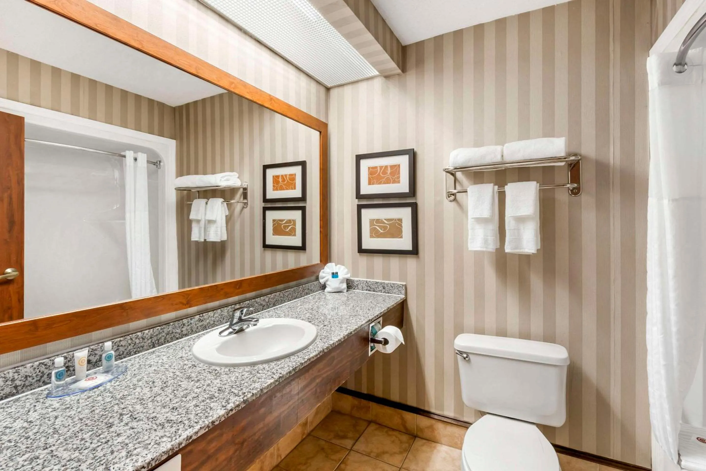 Bedroom in Comfort Inn Summerville - Charleston