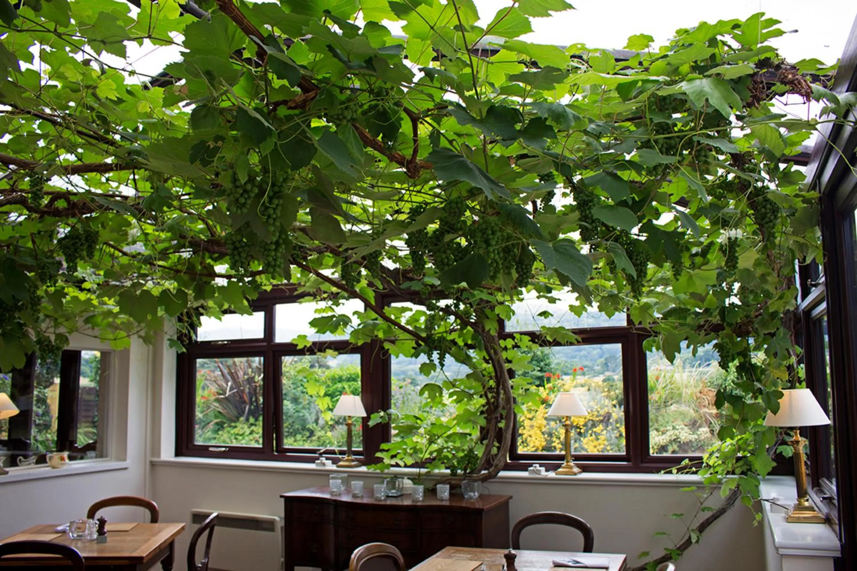 Restaurant/places to eat in The Groes Inn