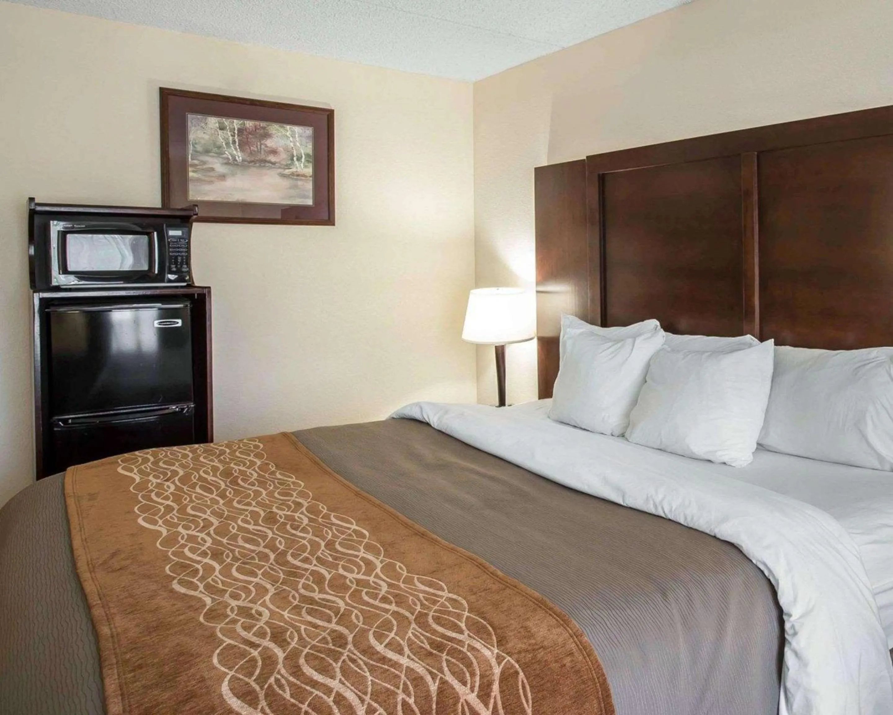 Photo of the whole room, Bed in Comfort Inn & Suites Spartanburg North
