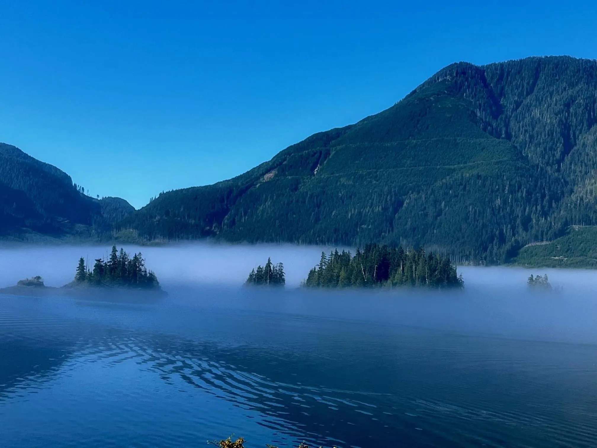 Natural landscape in Frigon Suite -Waterfront