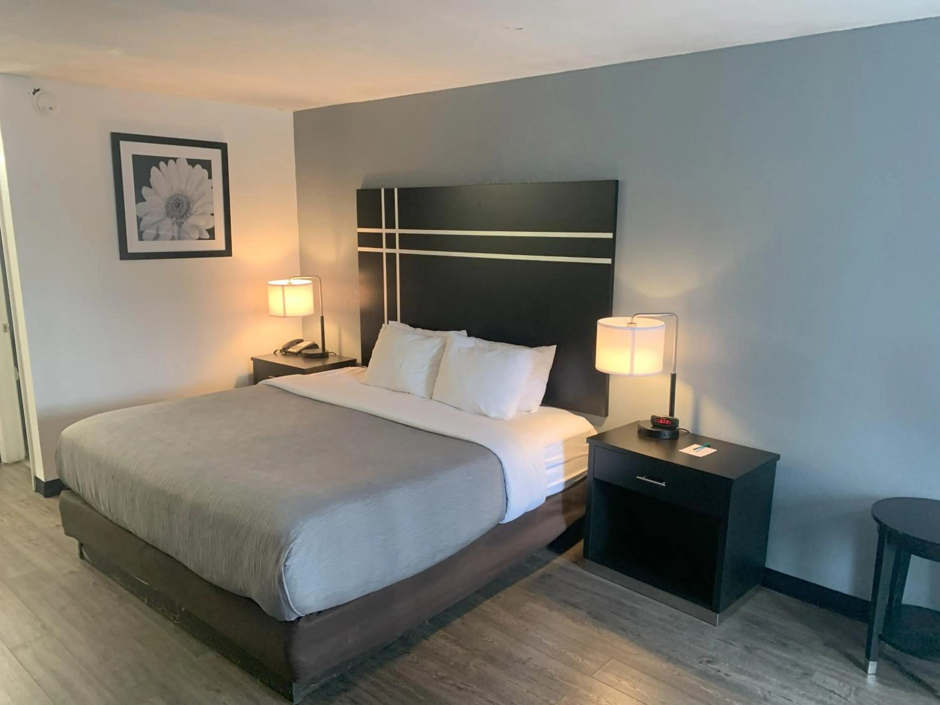 Bedroom, Bed in Quality Inn & Suites Hardeeville - Savannah North