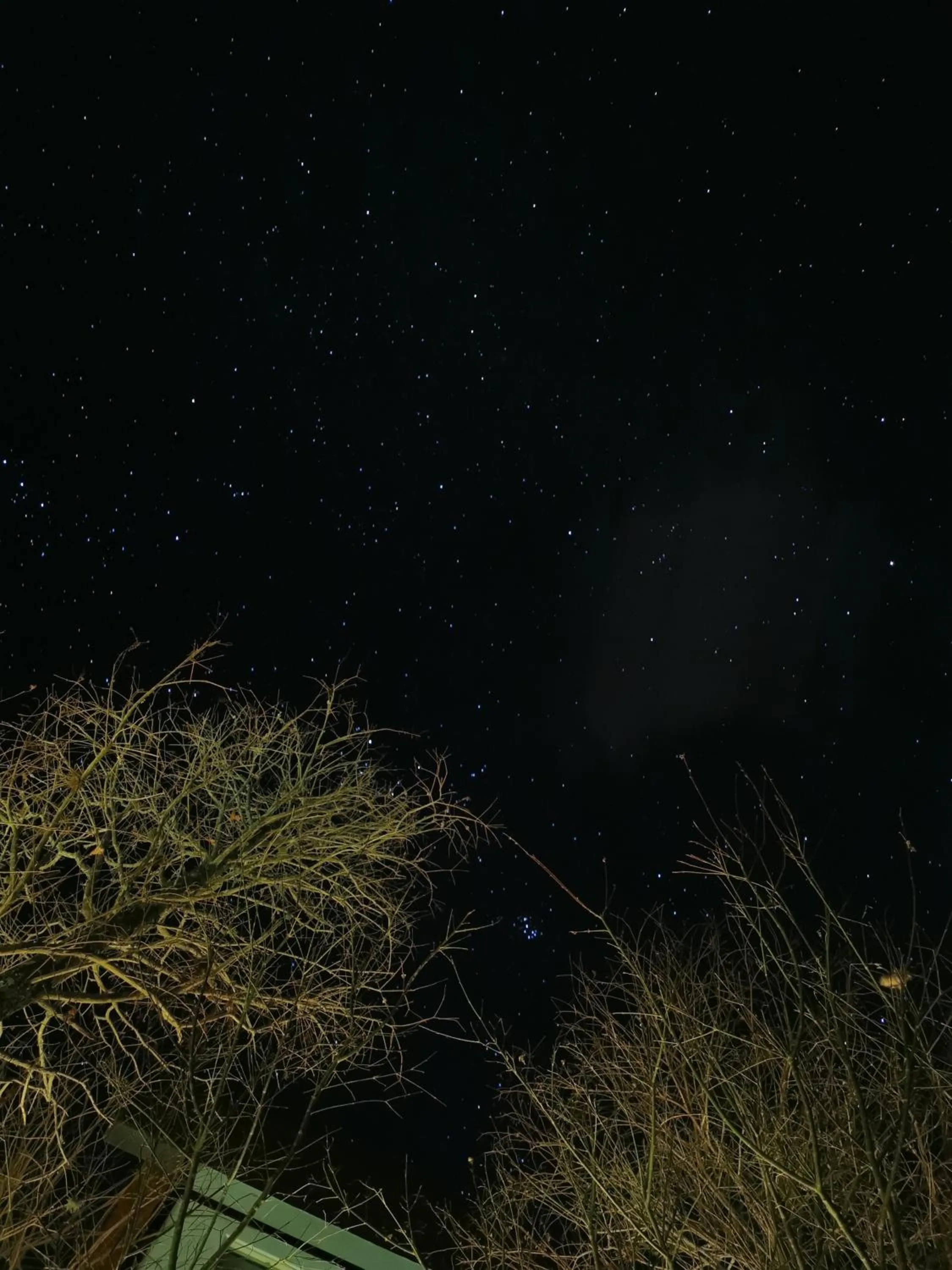 Sheep Village Country Homestay