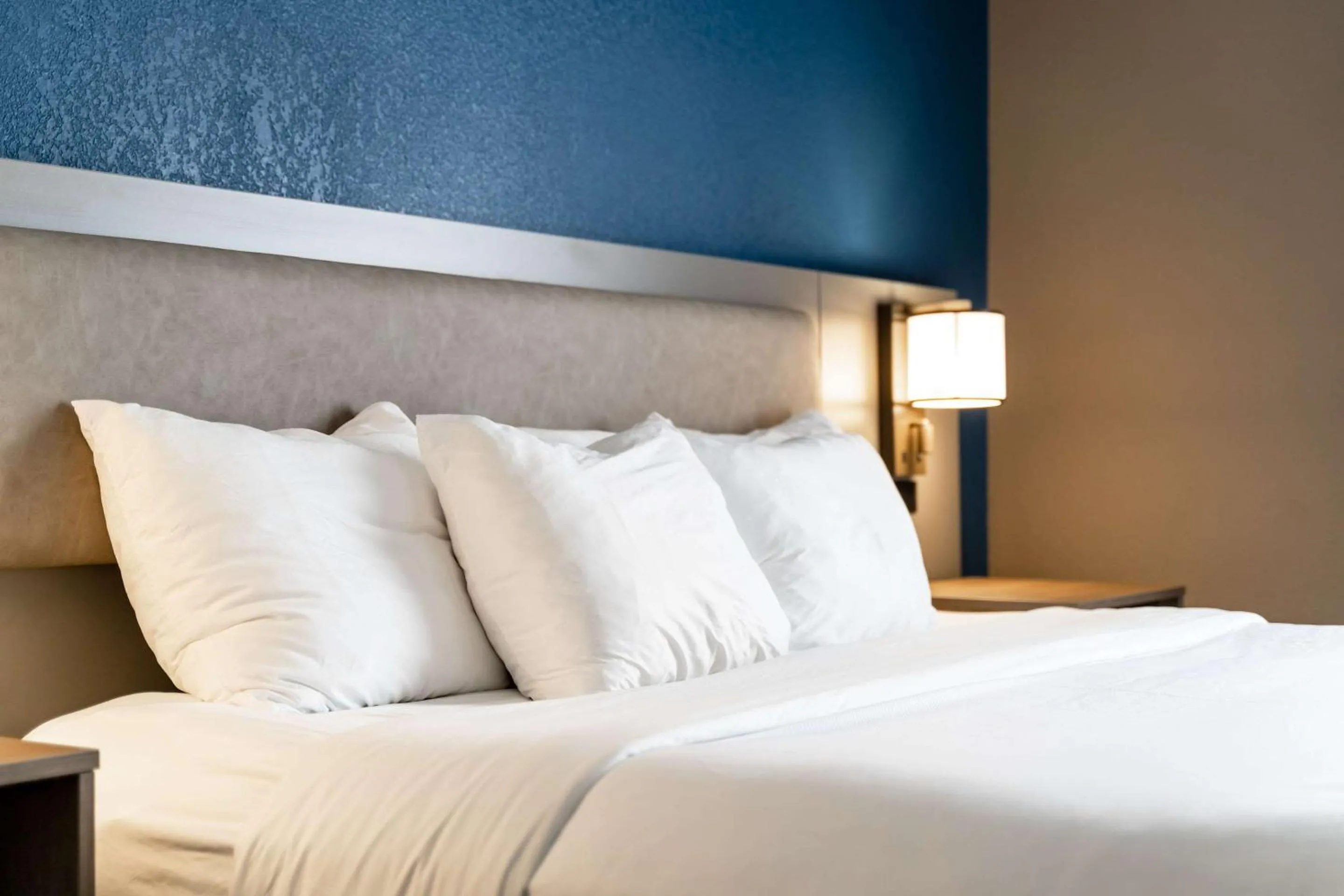 Bedroom, Bed in Comfort Suites Columbia Northeast - Fort Jackson