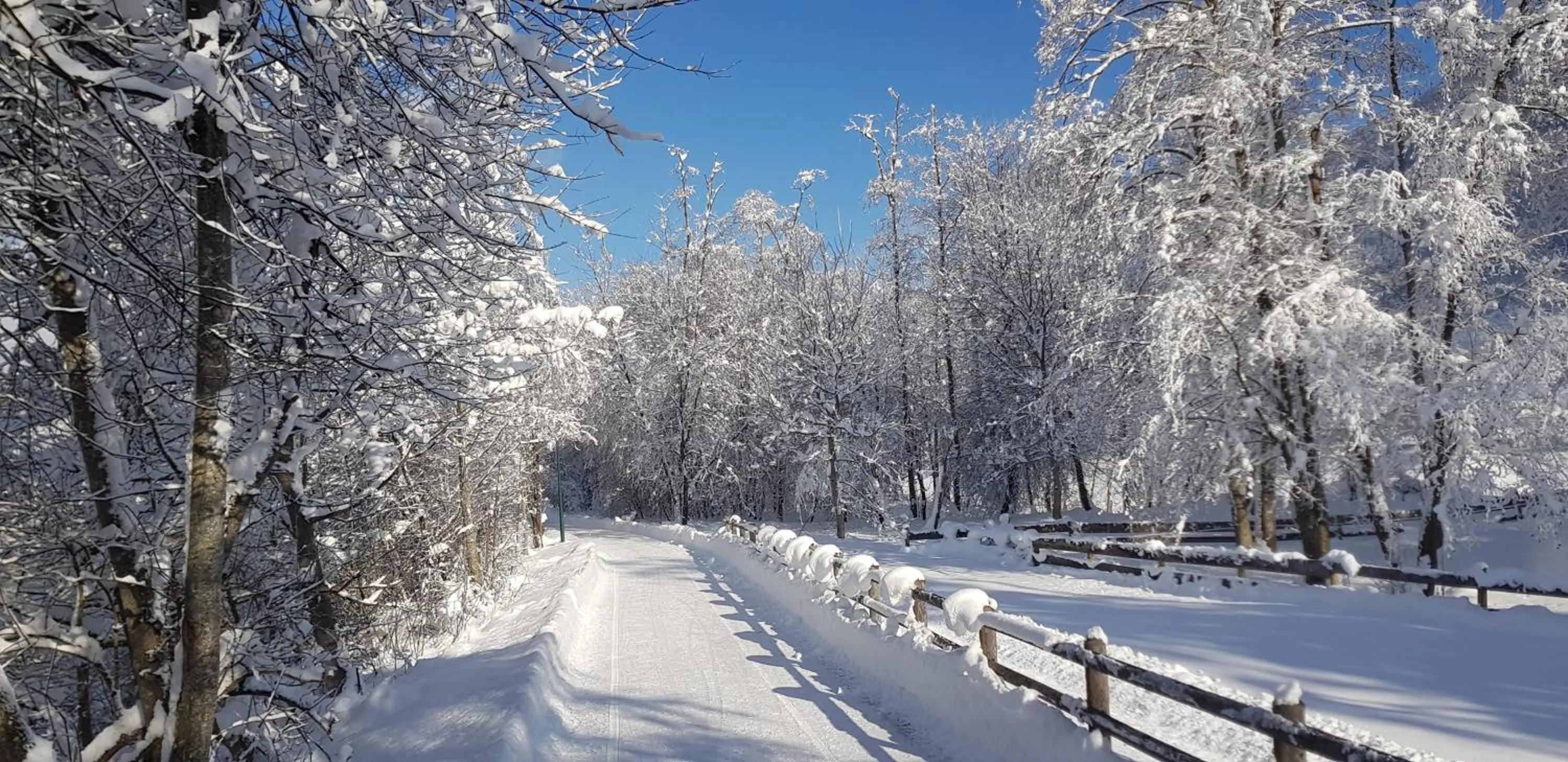 Off site in Apart Matthias