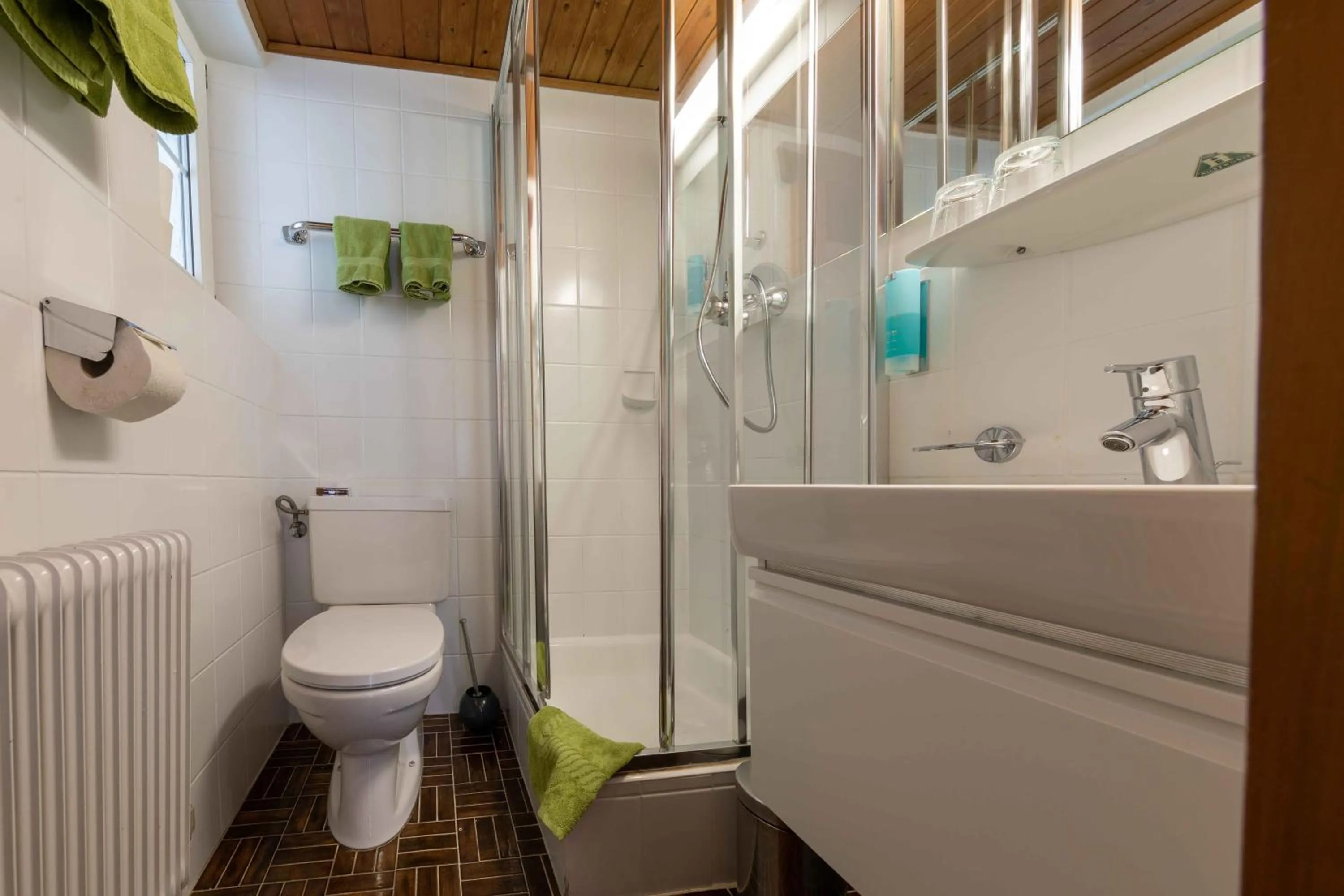 Shower in Apart Matthias