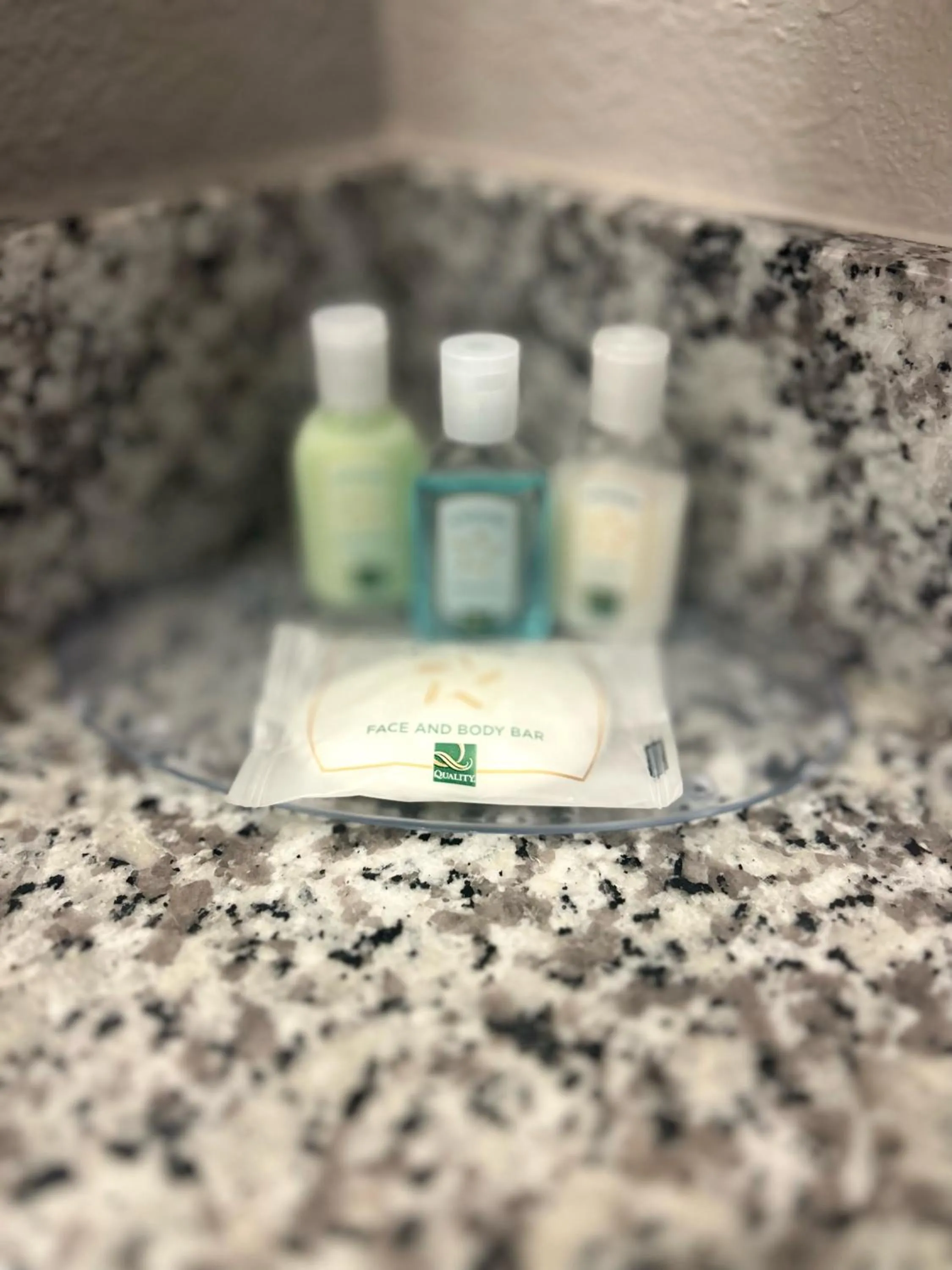 Bathroom in Quality Inn Mt Pleasant - Charleston