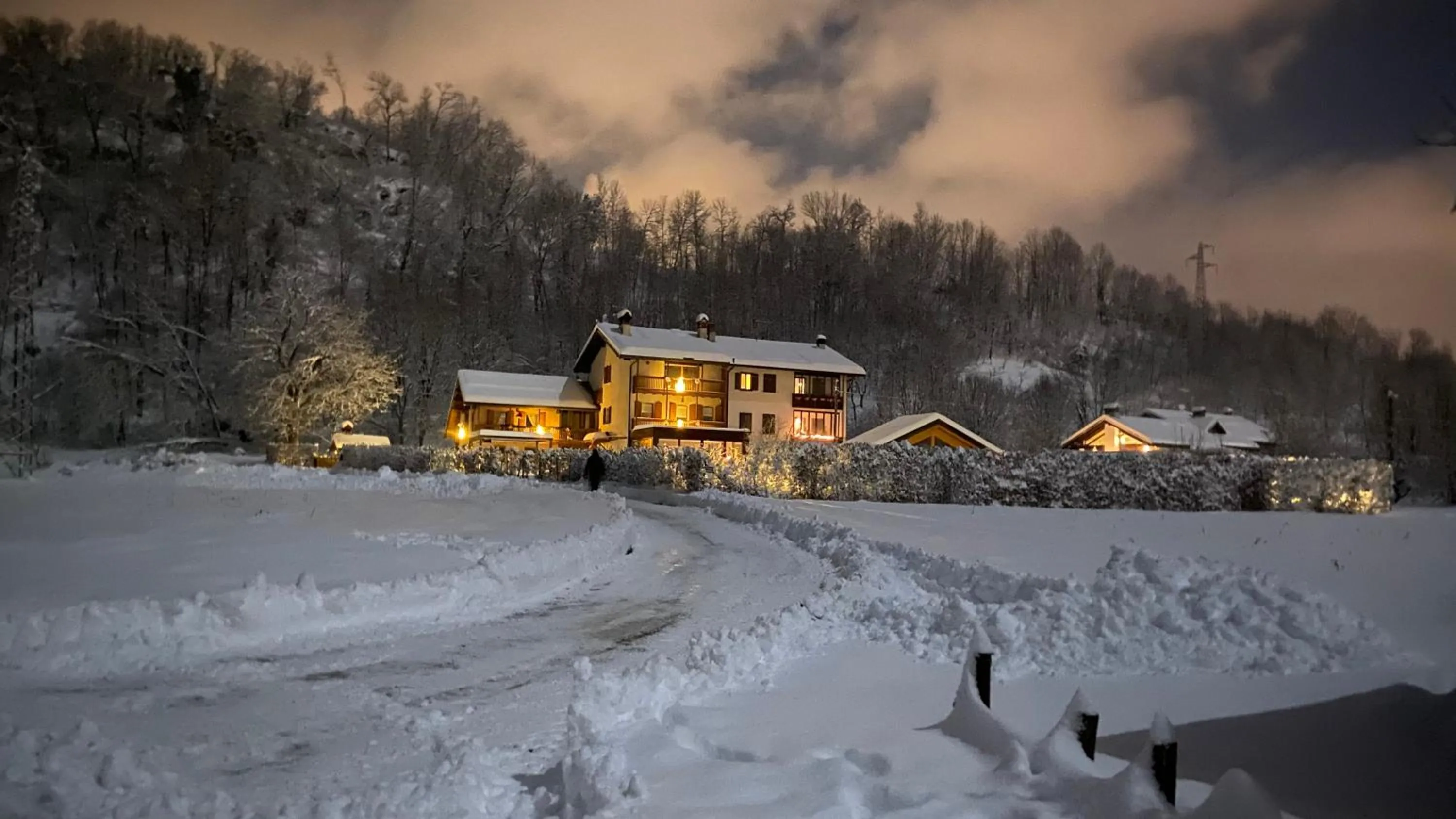 Night in LA TANA DEL GRILLO